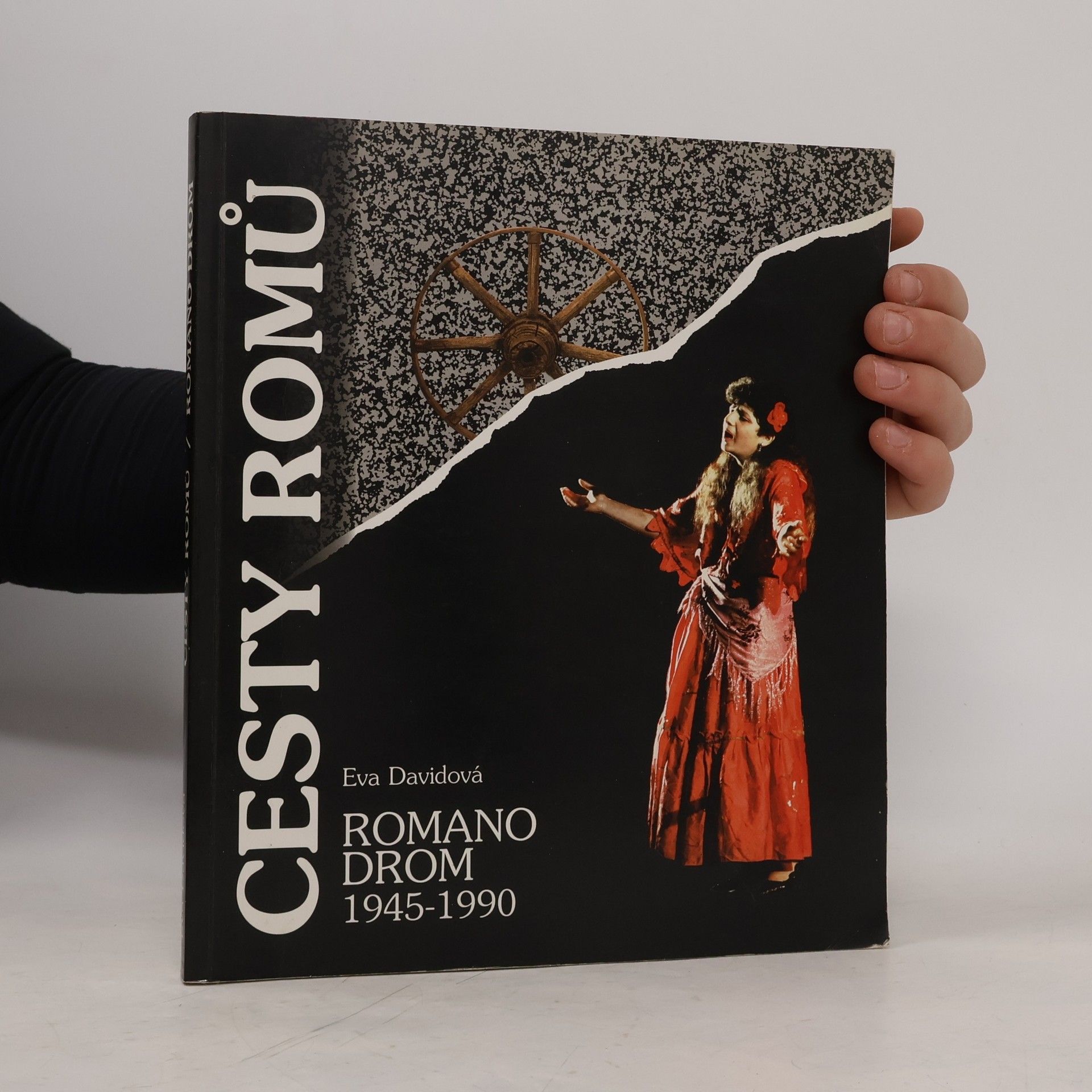 Eva Davidová Cesty Romů - Romano drom 1945-1990