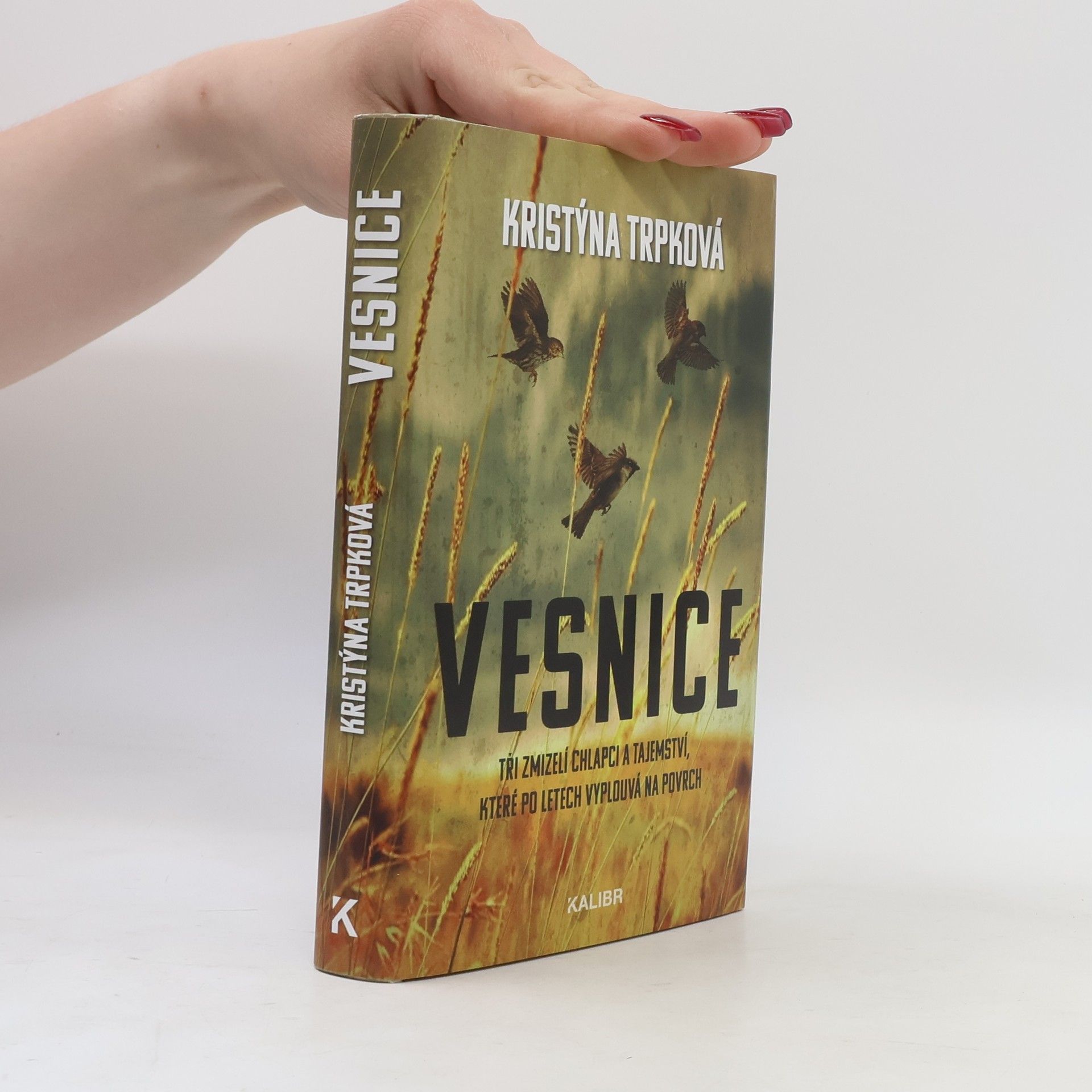 Kristýna Trpková Vesnice