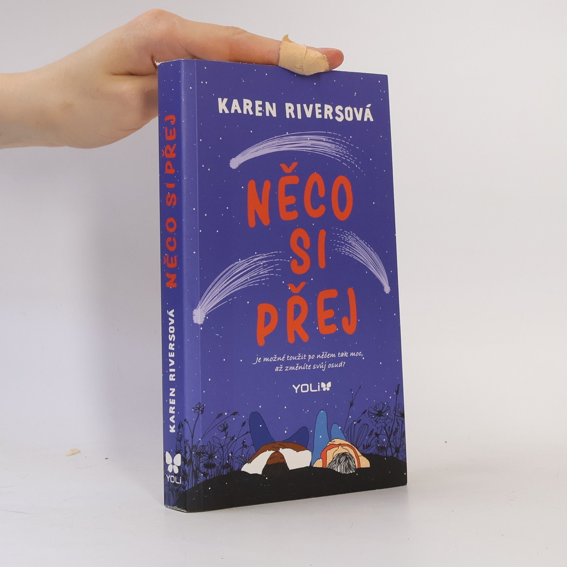 Karen Rivers Něco si přej