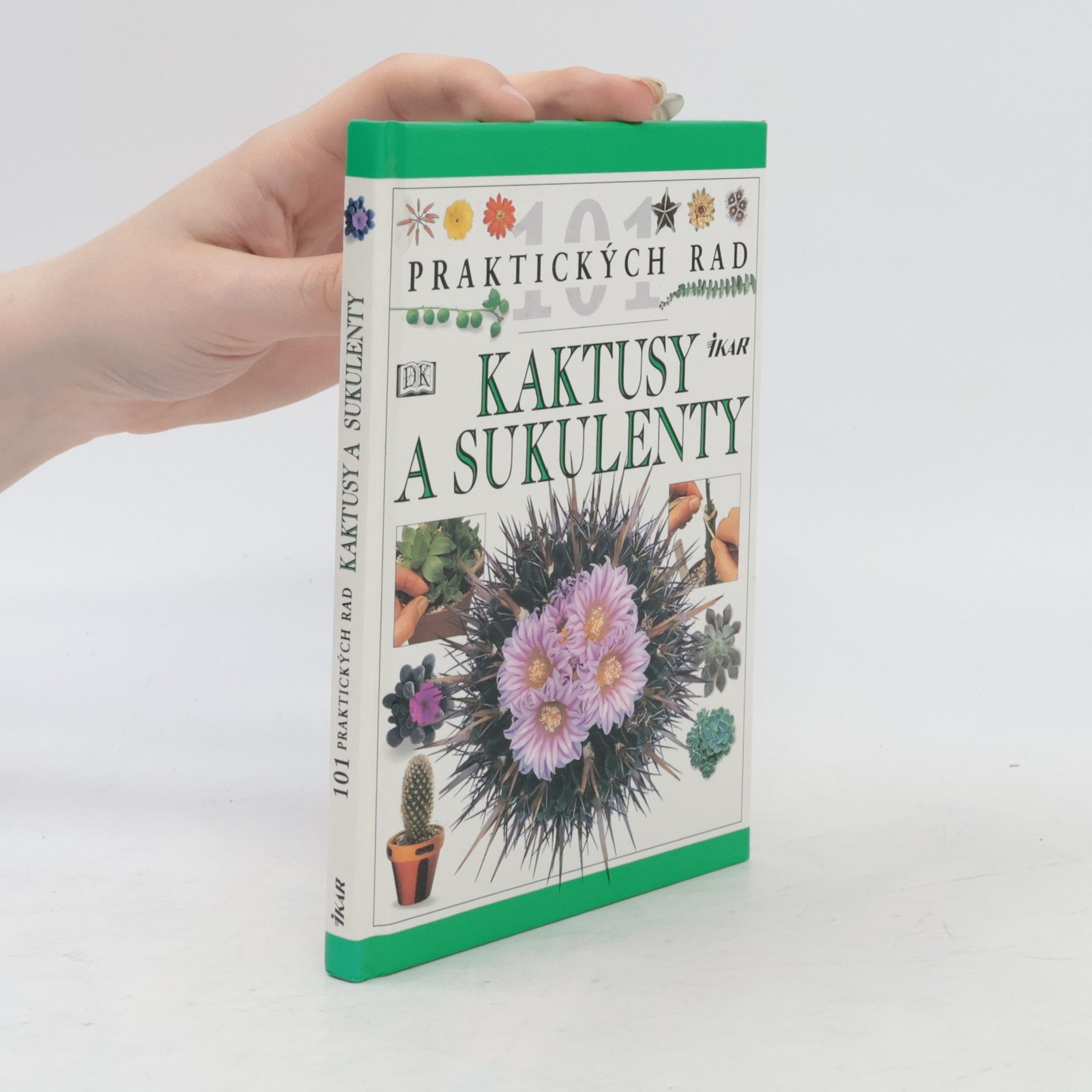 Kaktusy a sukulenty