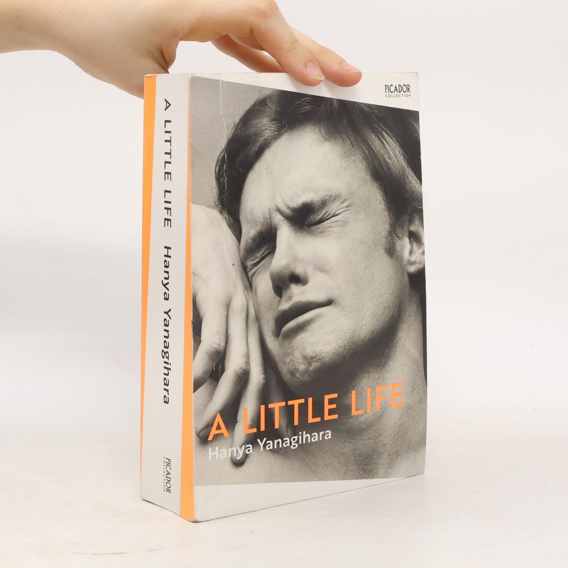 Hanya Yanagihara A Little Life