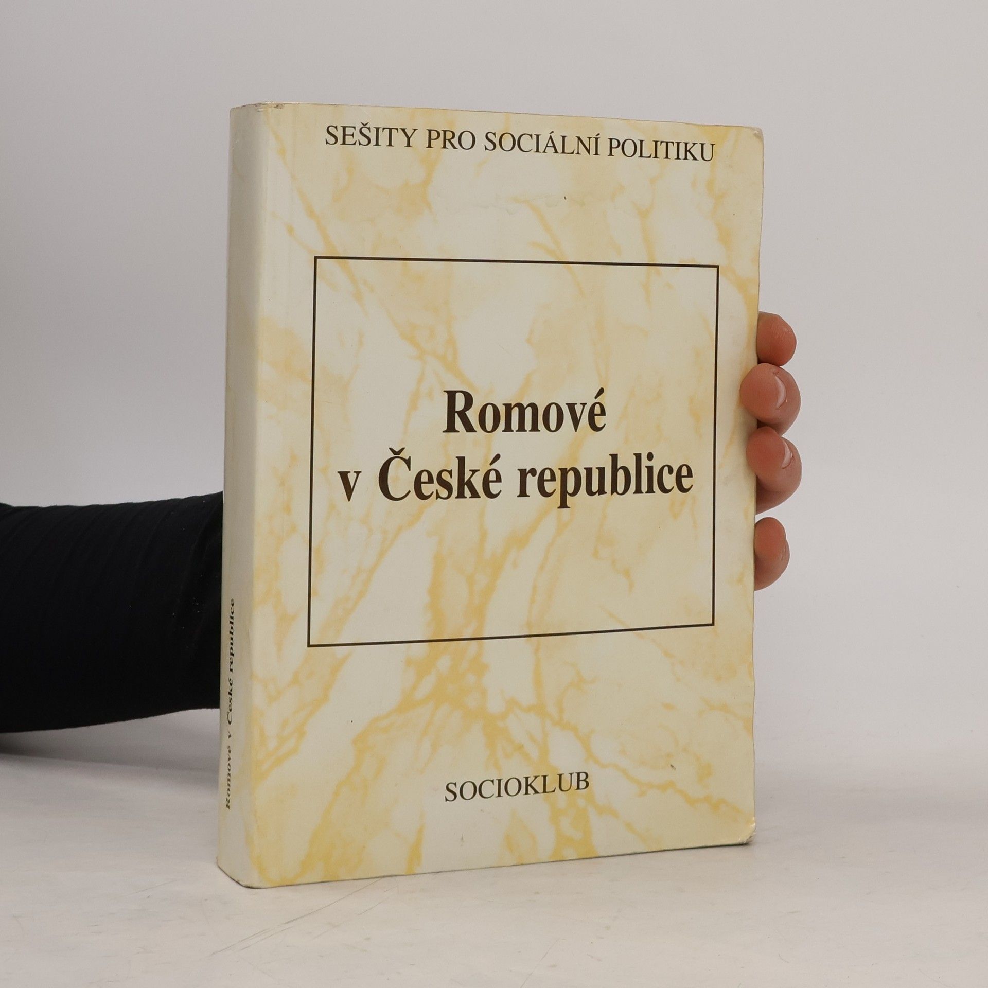 Kolektiv autorů Romové v České republice (1945-1998) Romové v České republice