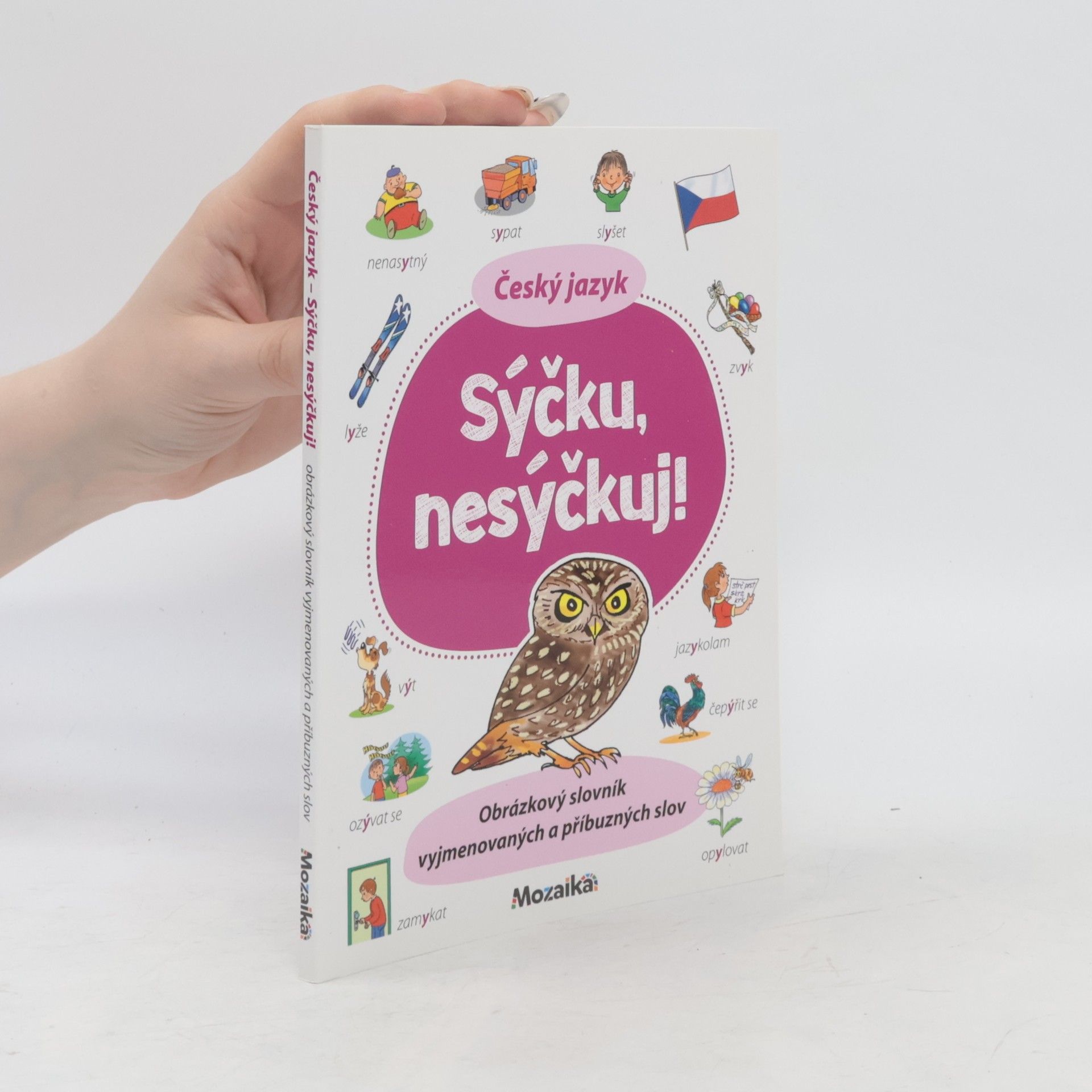 Kolektív autorov Český jazyk : sýčku, nesýčkuj!