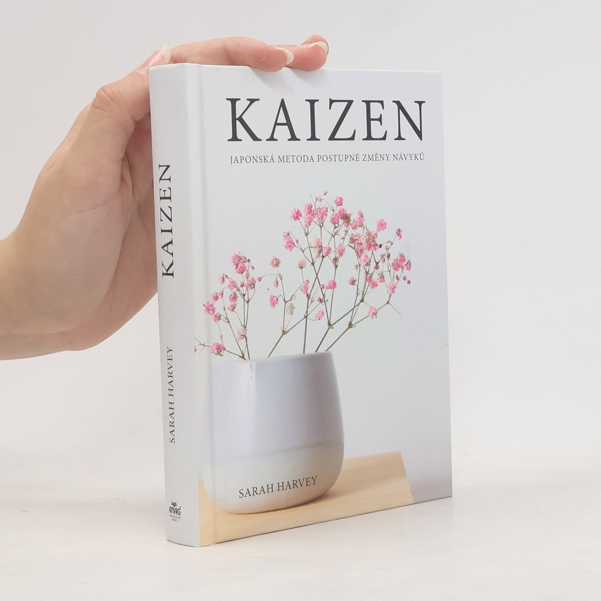 Sarah Harvey Kaizen: Japonská metoda postupné změny návyků