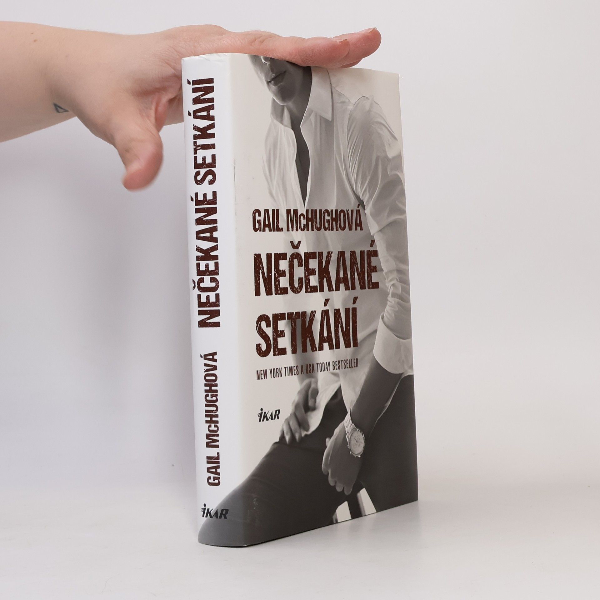 Gail McHugh Nečekané setkání