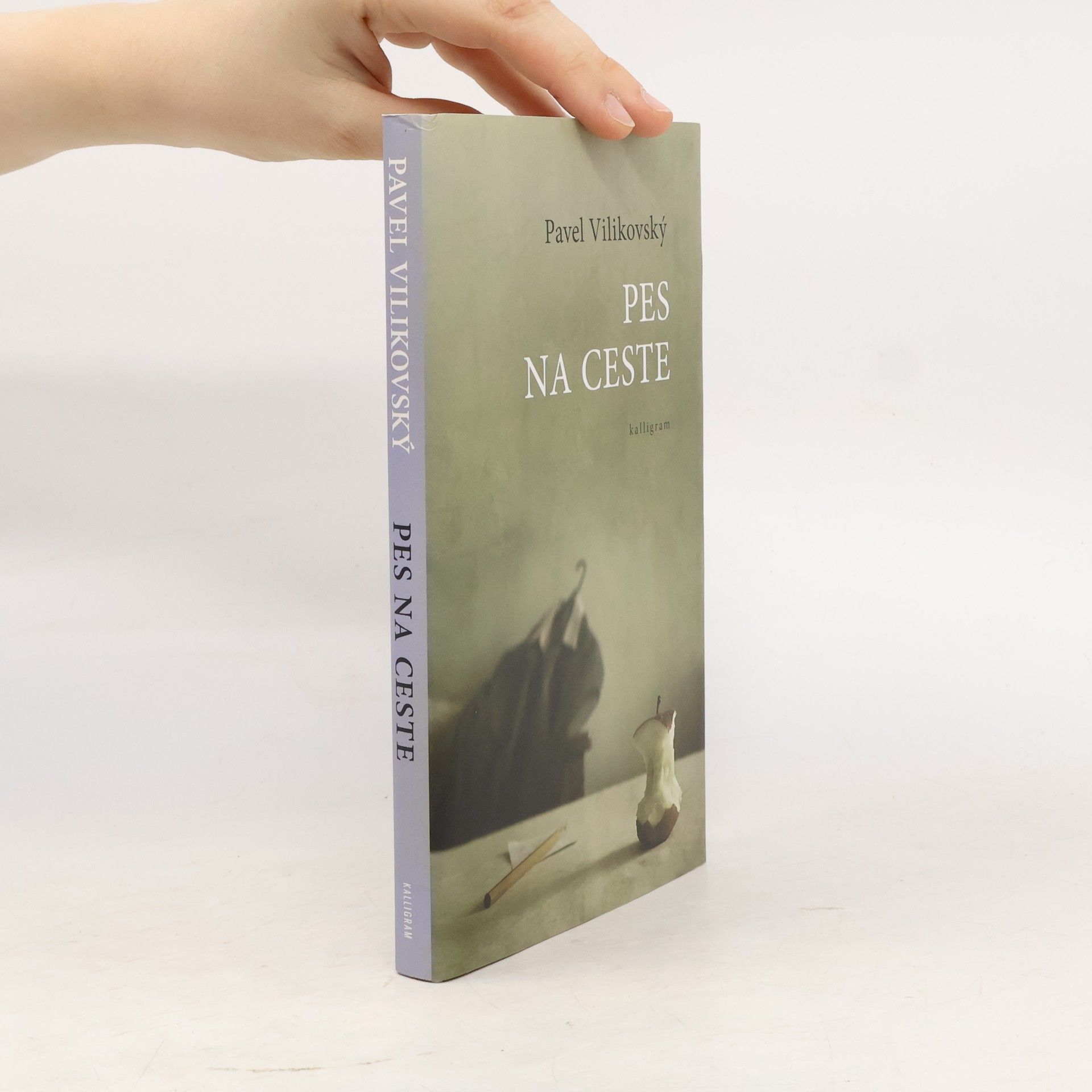 Pes na ceste