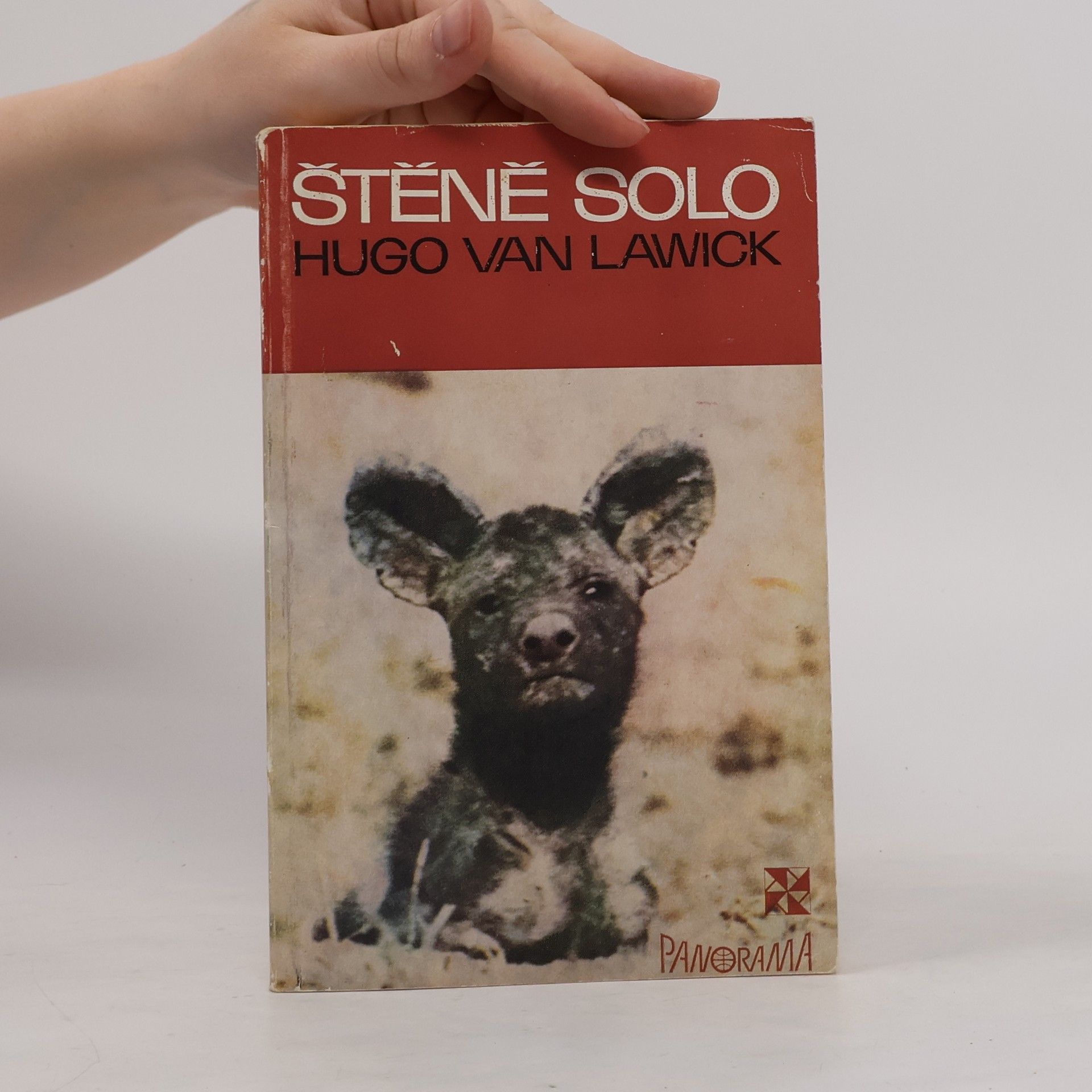 Hugo van Lawick Štěně Solo
