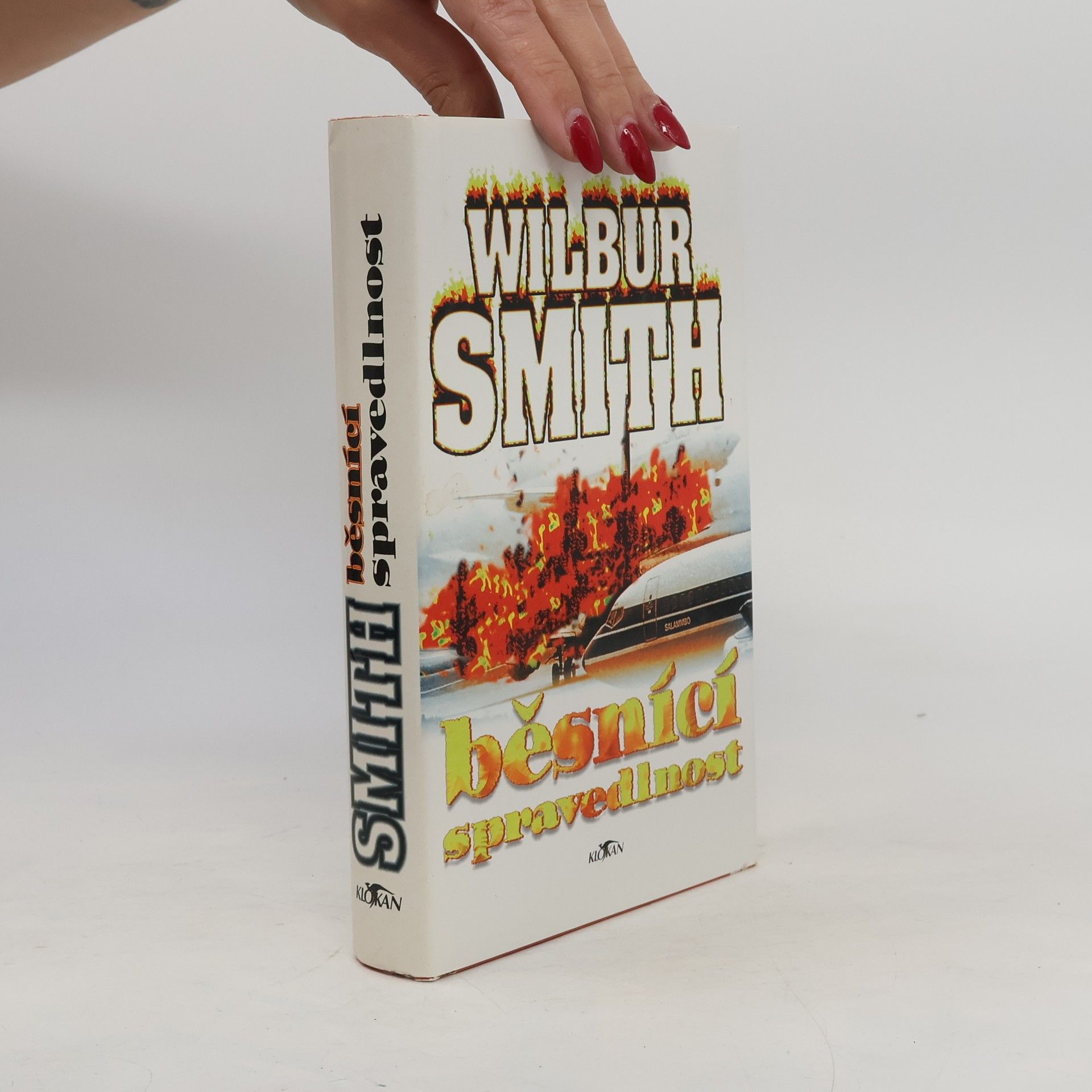 Wilbur A. Smith Běsnící spravedlnost
