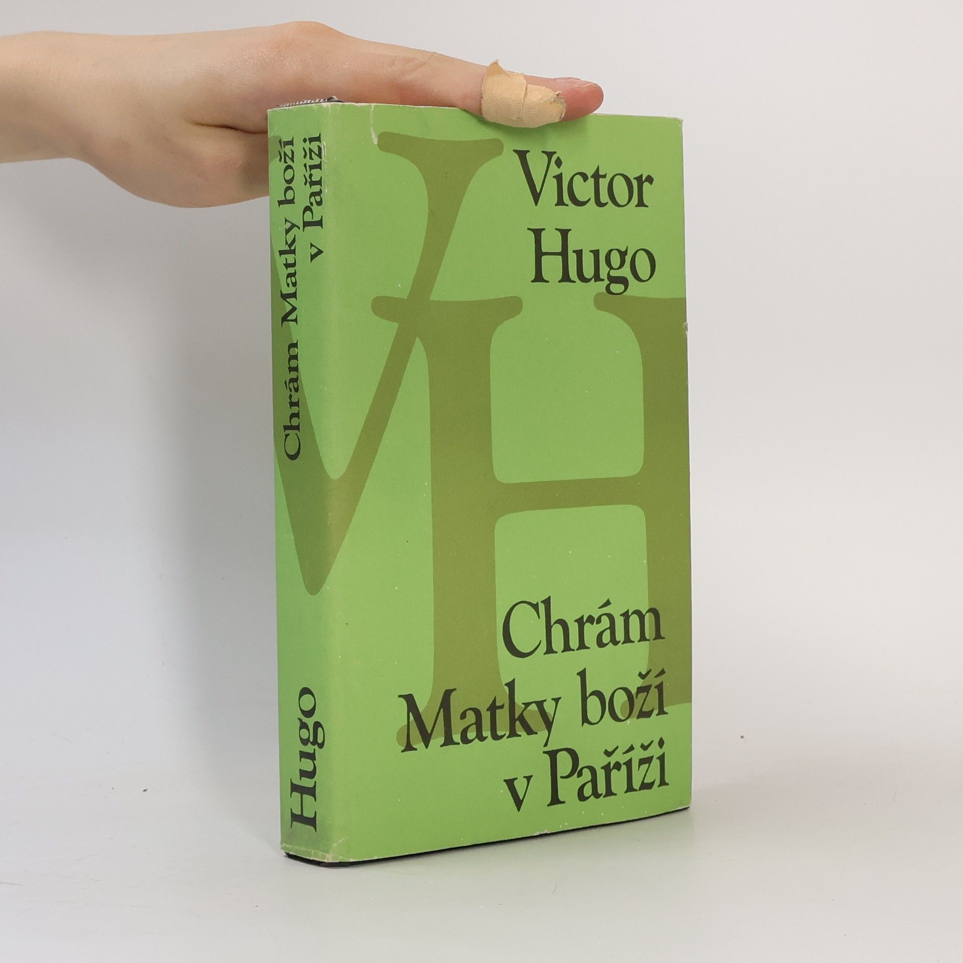 Victor Hugo Chrám Matky boží v Paříži