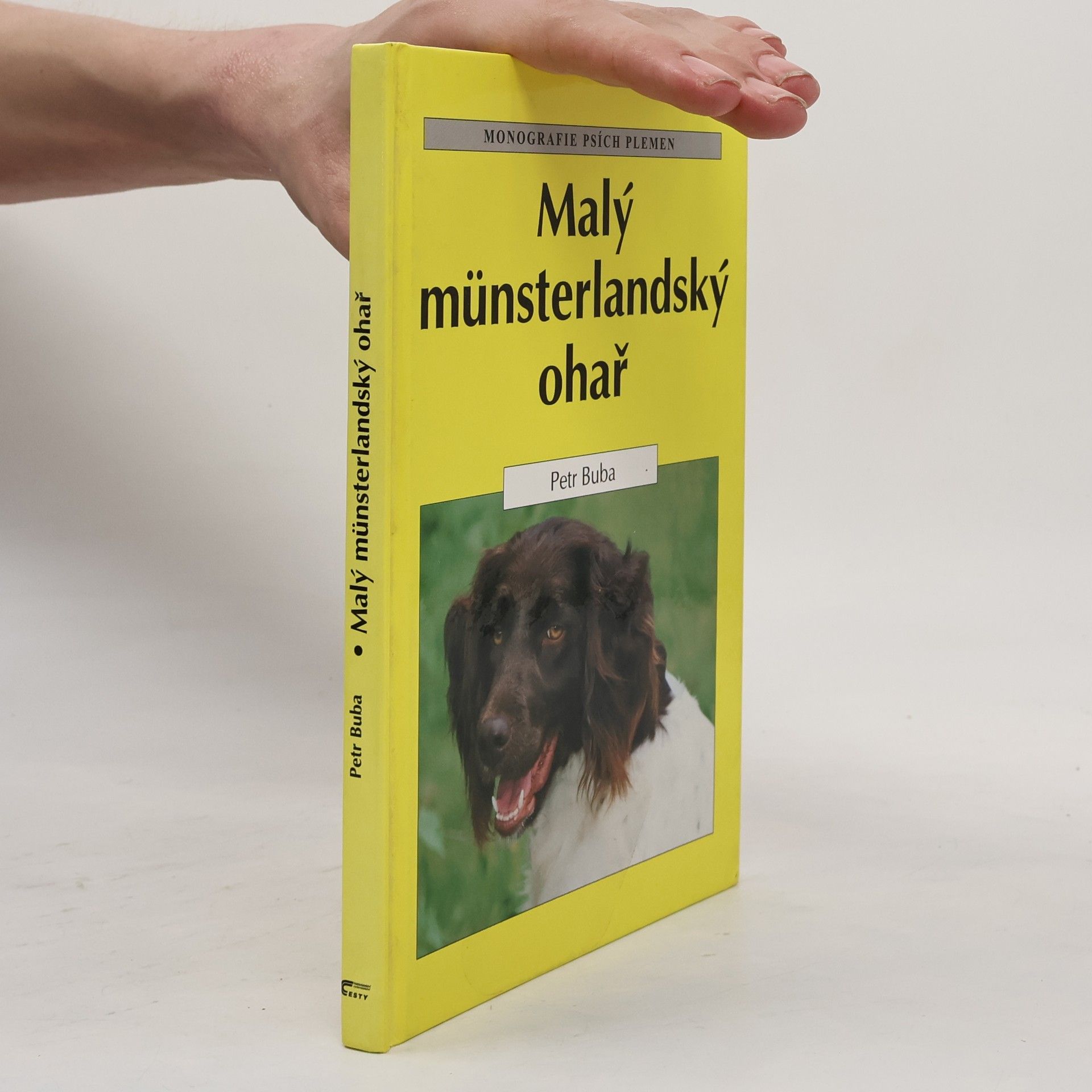 Petr Buba Malý münsterlandský ohař