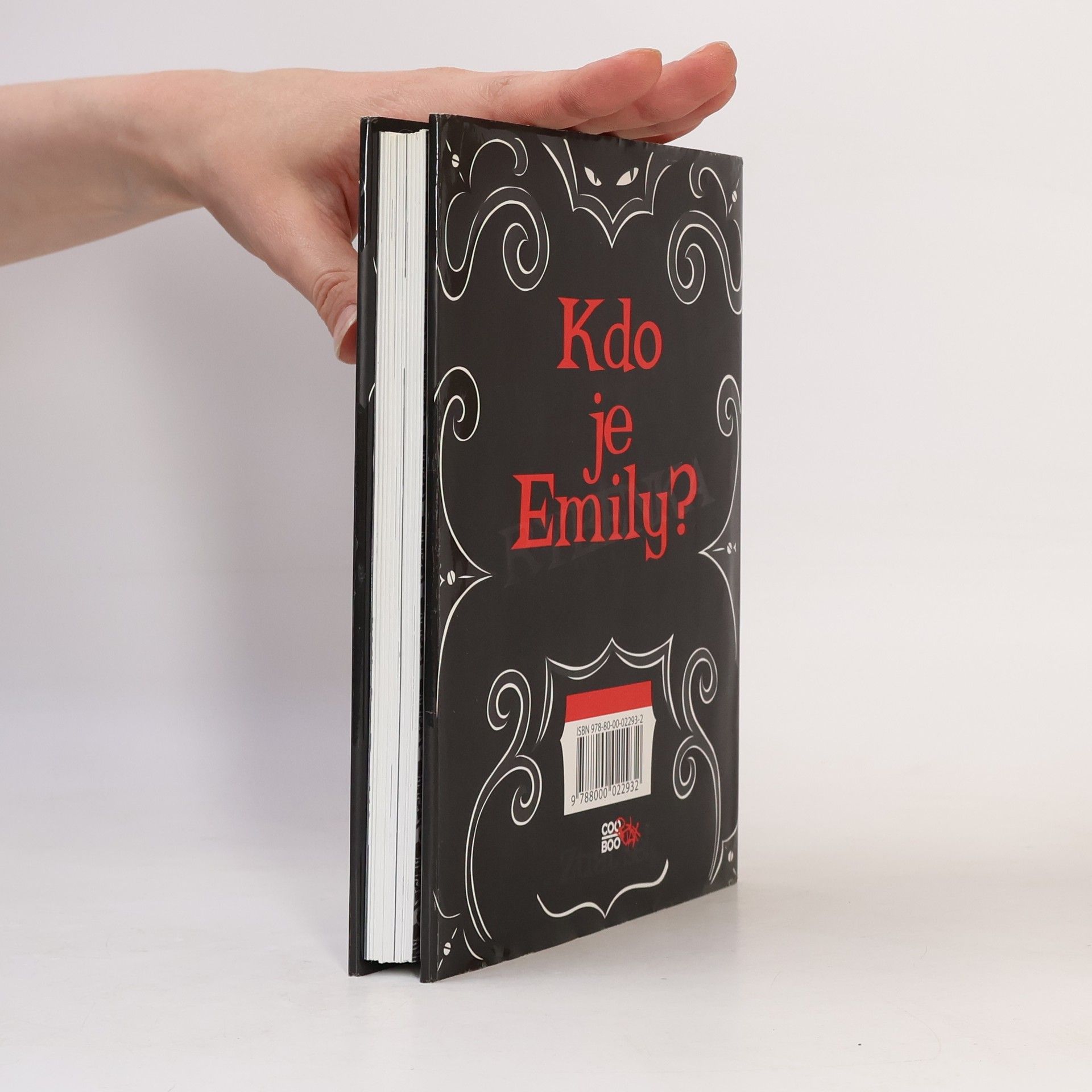 Robert Reger Emily Strange. Ztracené dny