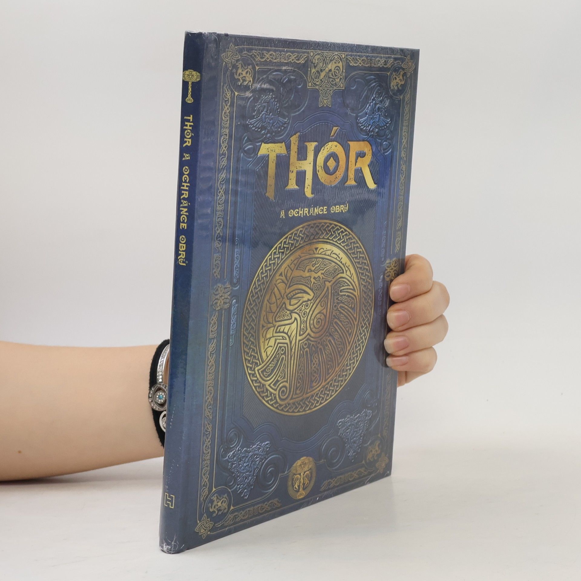 Autorenkollektiv Severská mytologie 13. Thór a ochránce obrů
