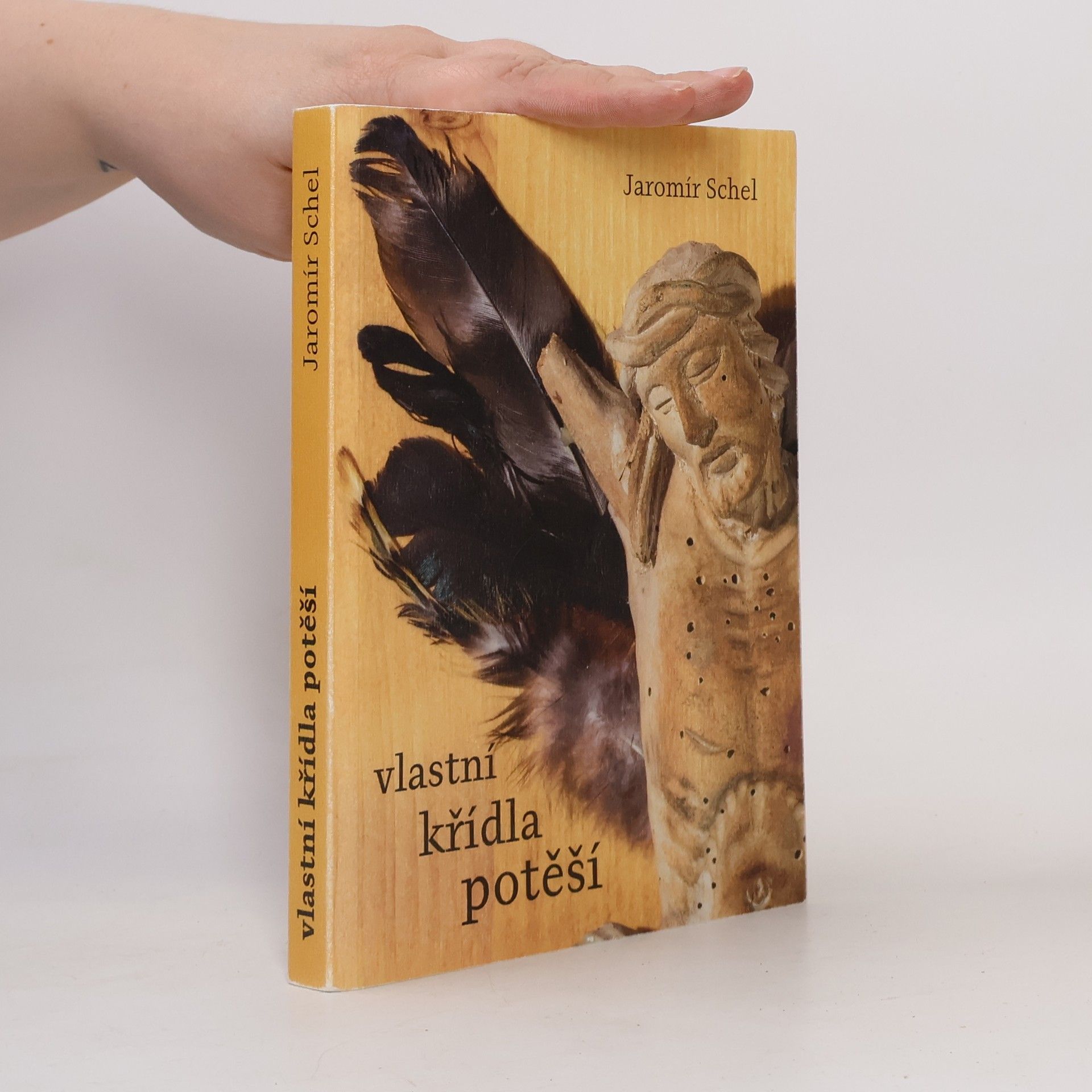 Jaromír Schel Vlastní křídla potěší