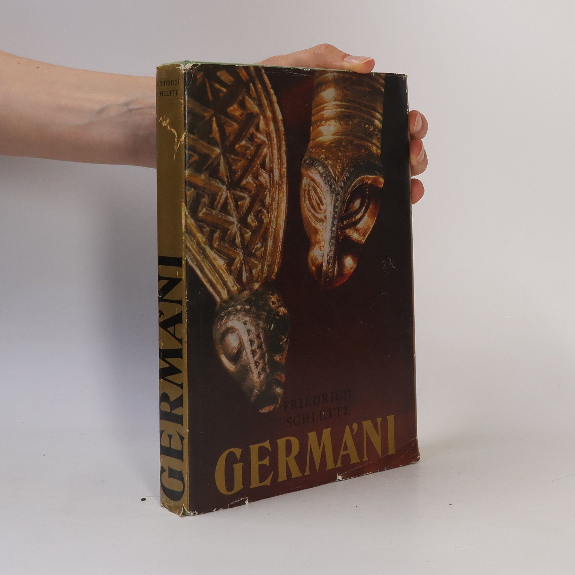 Friedrich Schlette Germáni mezi Thorsbergem a Ravennou