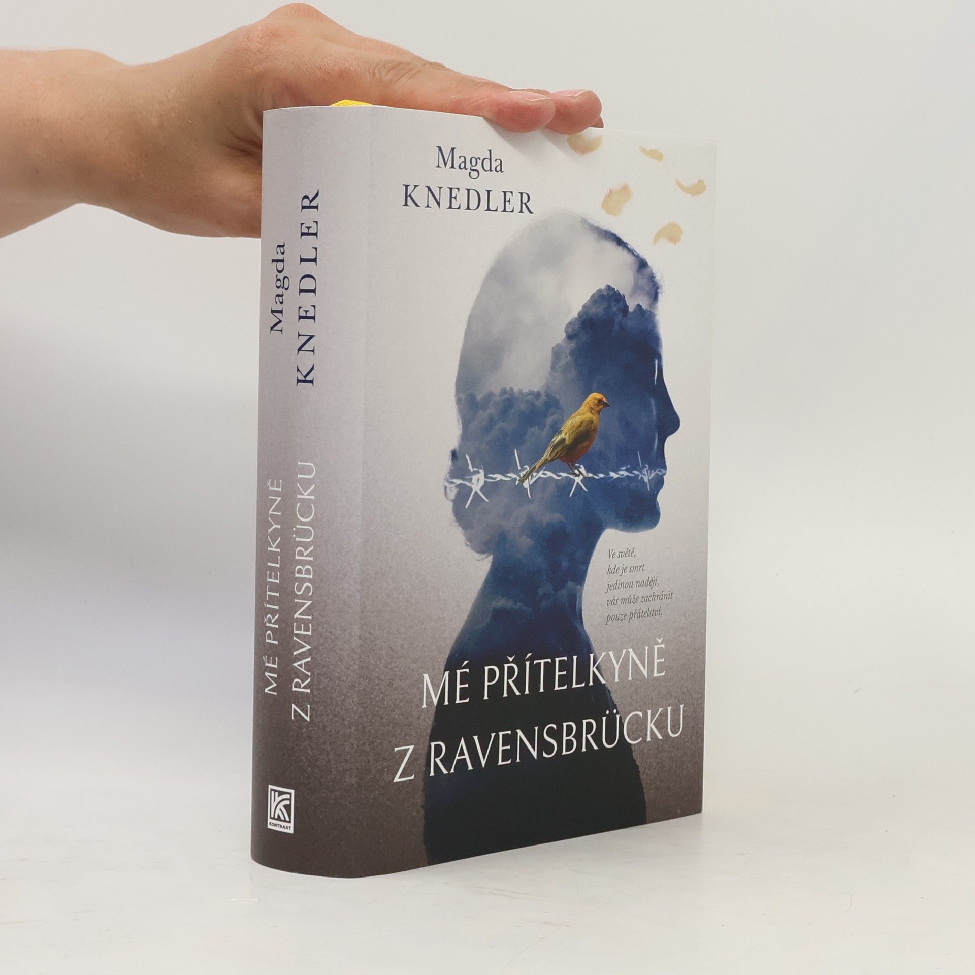 Magdalena Knedler Mé přítelkyně z Ravensbrücku