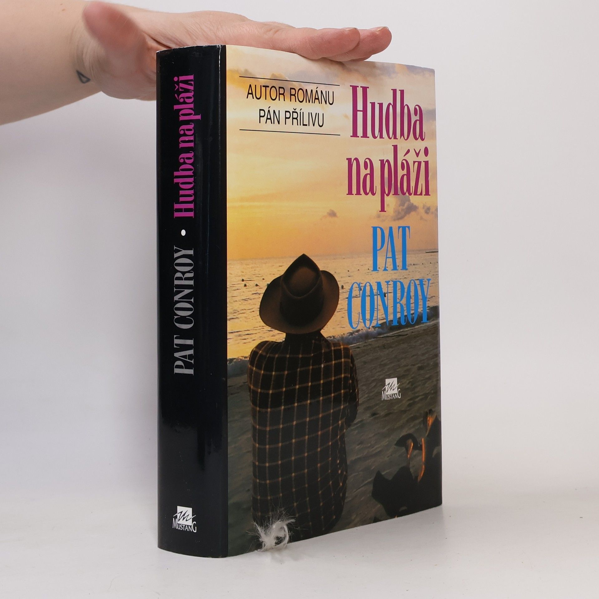 Pat Conroy Hudba na pláži