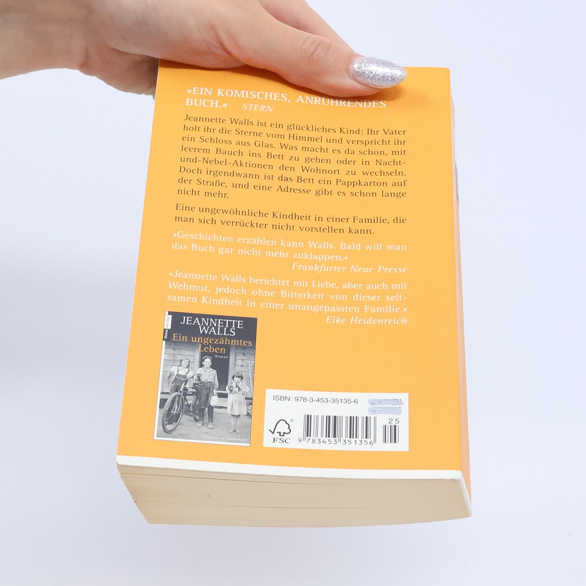 Jeannette Walls Schloss aus Glas