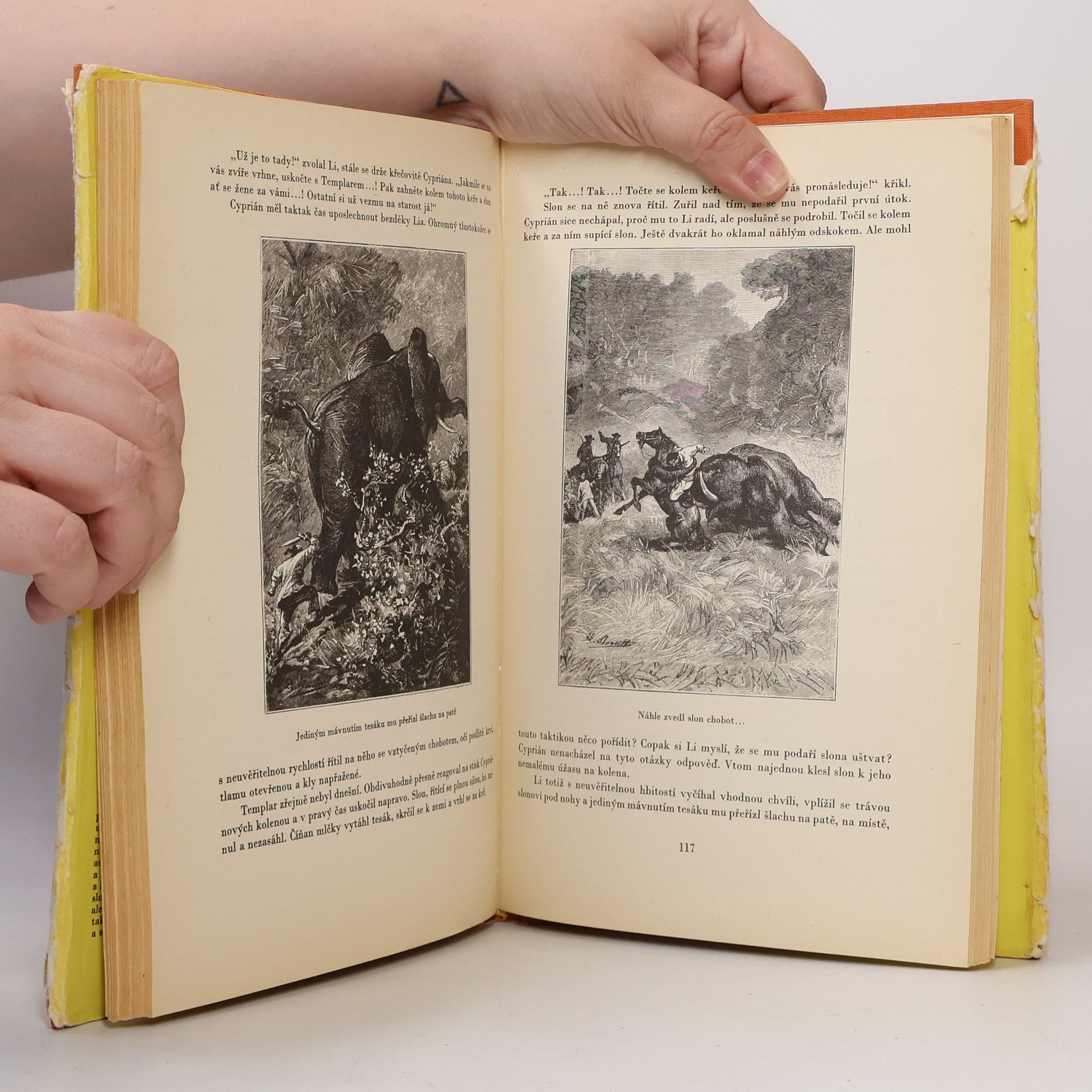 Jules Verne Hvězda jihu