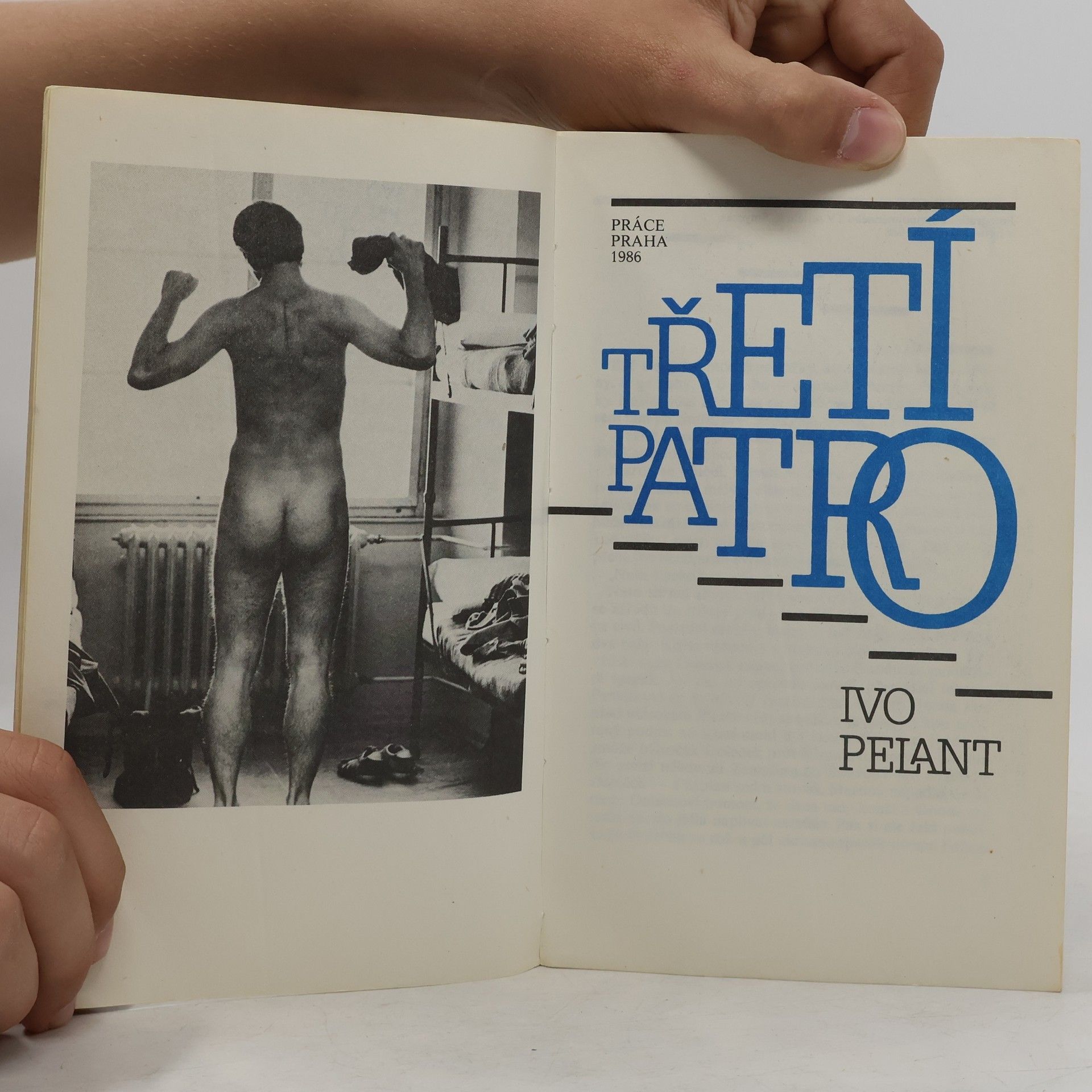 Ivo Pelant Třetí patro