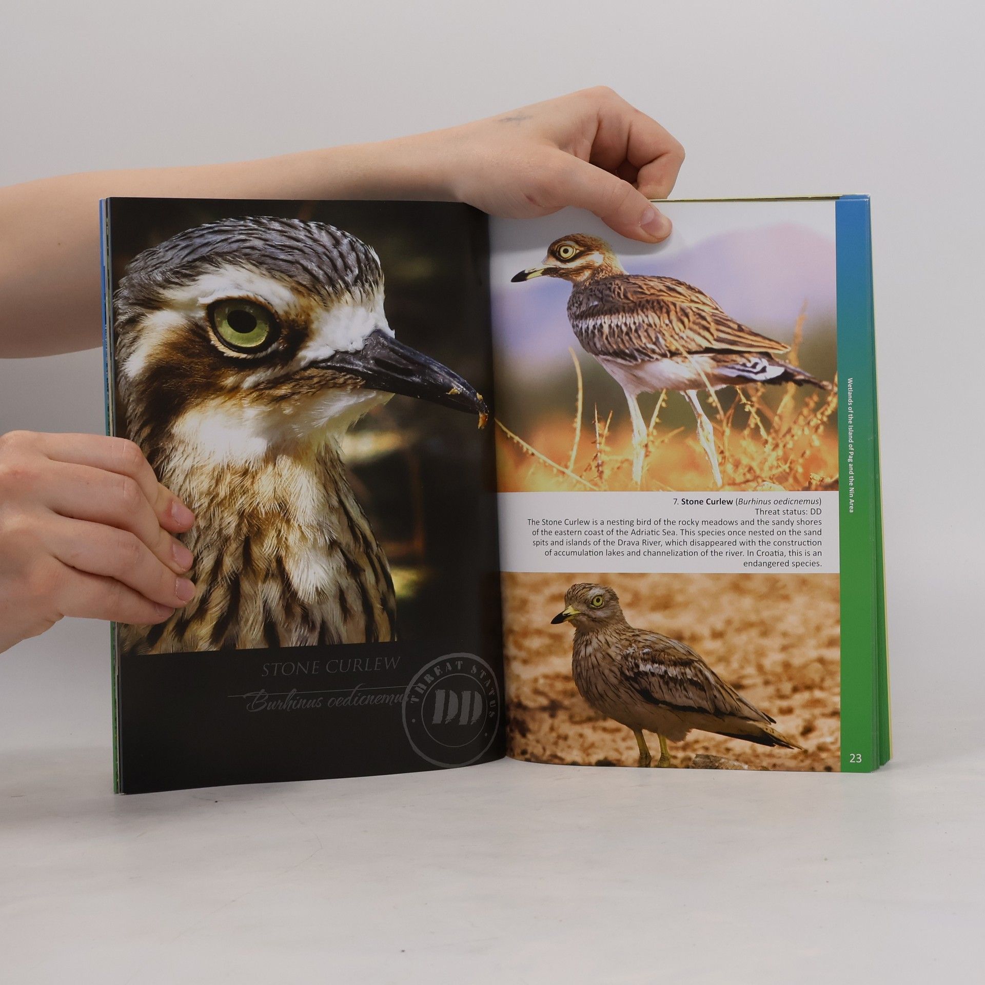 Gordan Lukač Birdwatching Guide