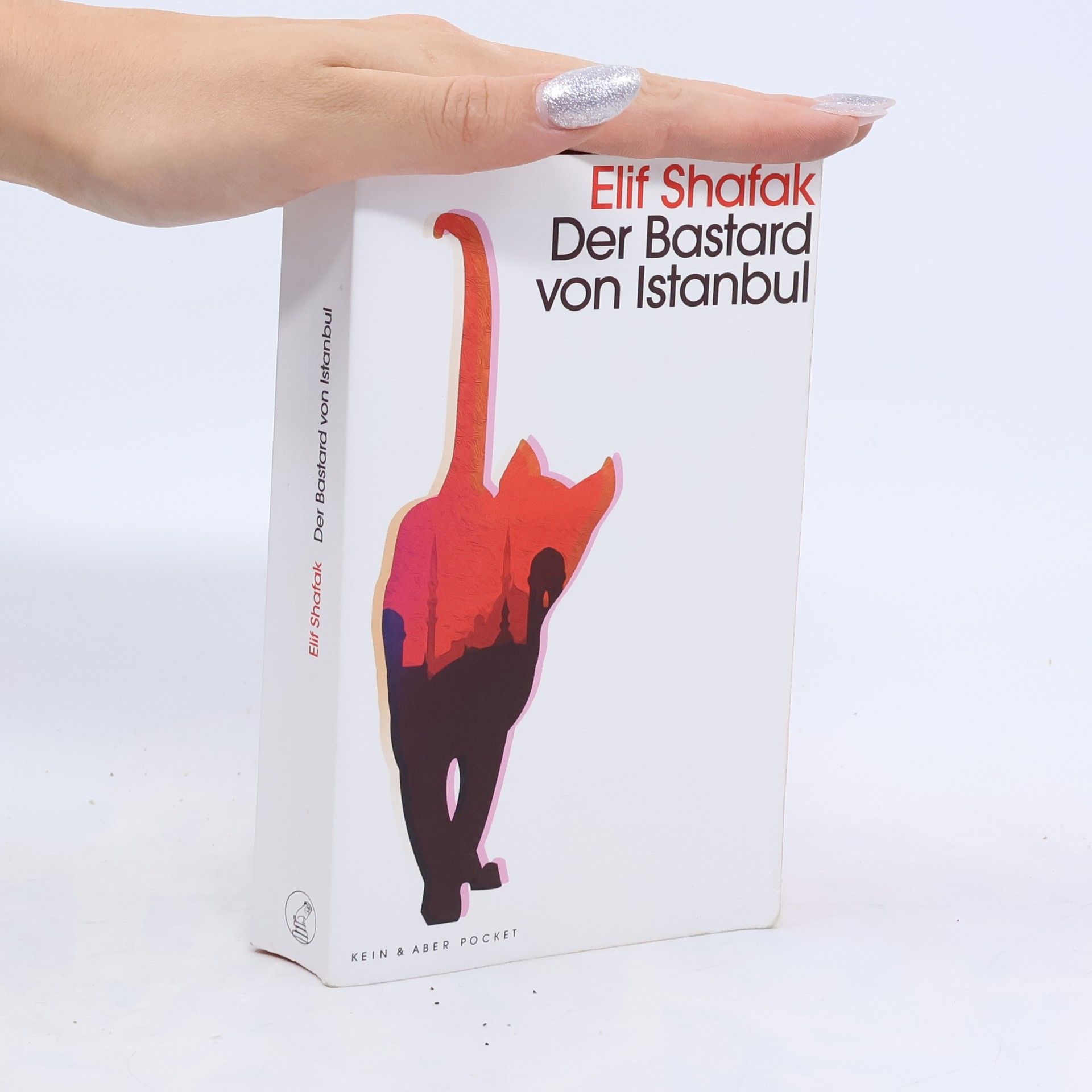 Elif Shafak Der Bastard von Istanbul
