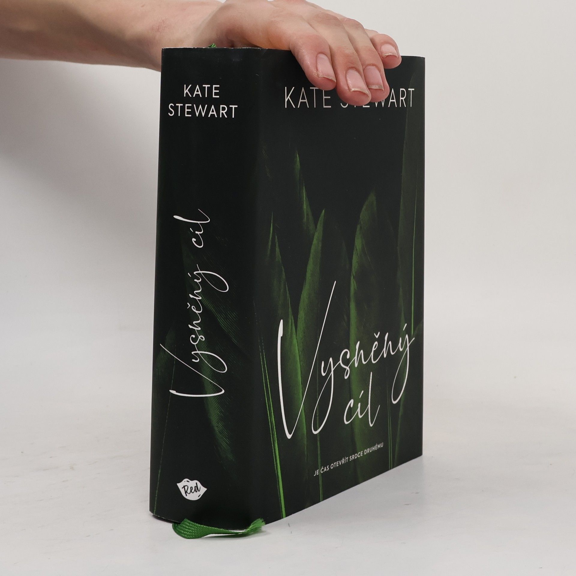 Kate Stewart Vysněný cíl. Kniha třetí