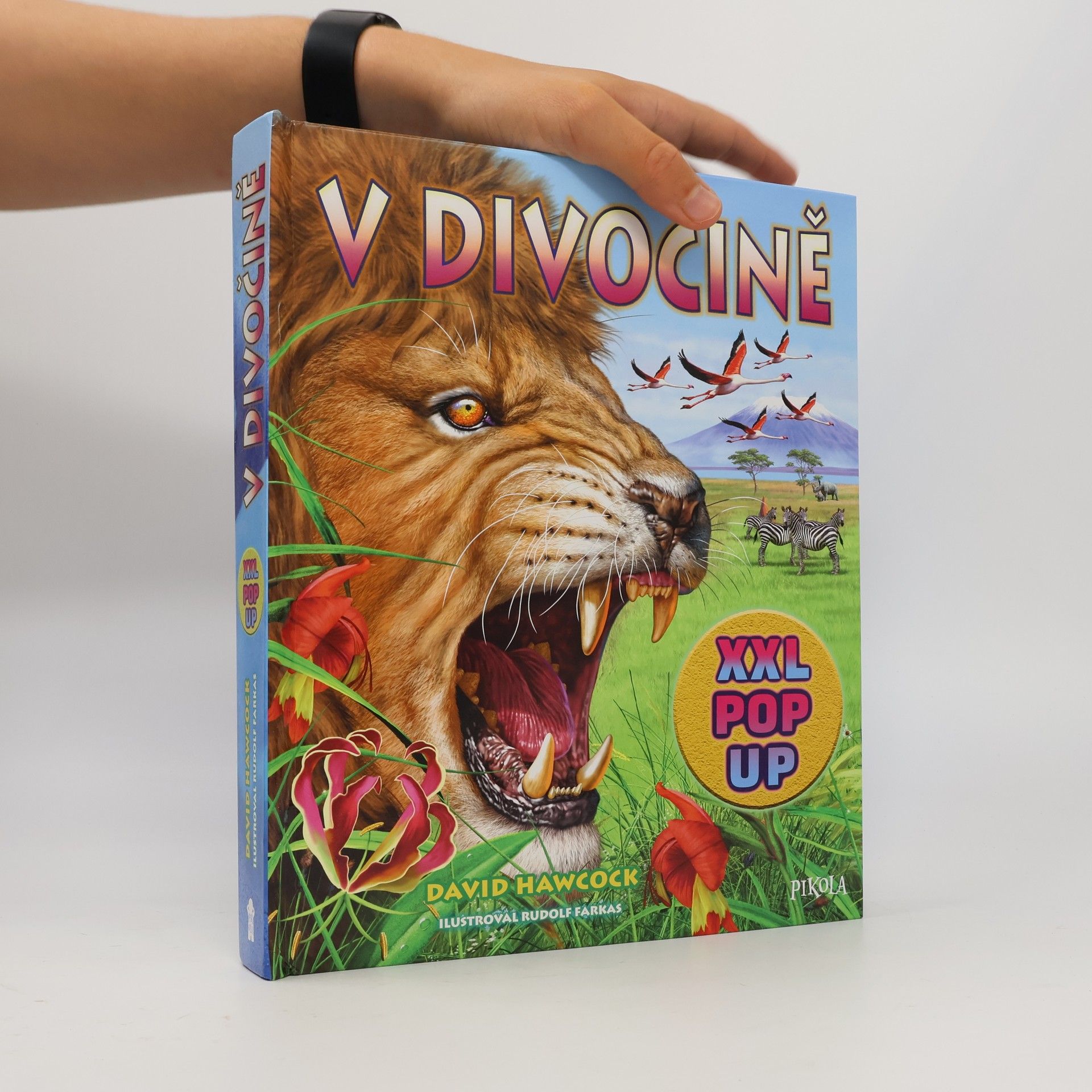V divočině : XXL pop up
