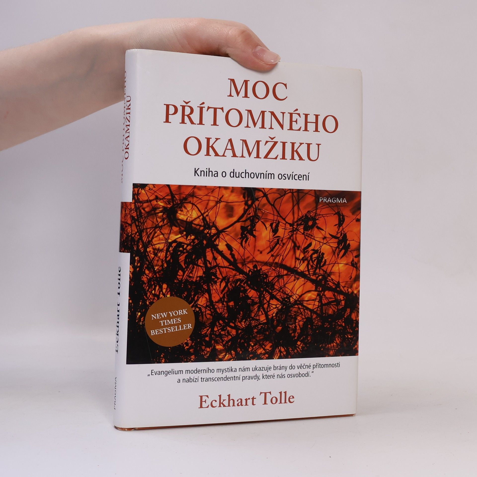 Eckhart Tolle Moc přítomného okamžiku
