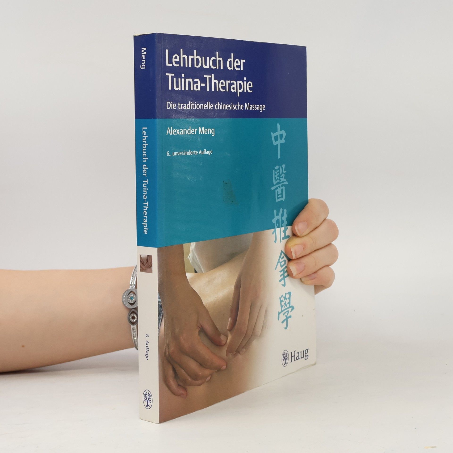 Alexander Chao-Lai Meng Lehrbuch der Tuina-Therapie