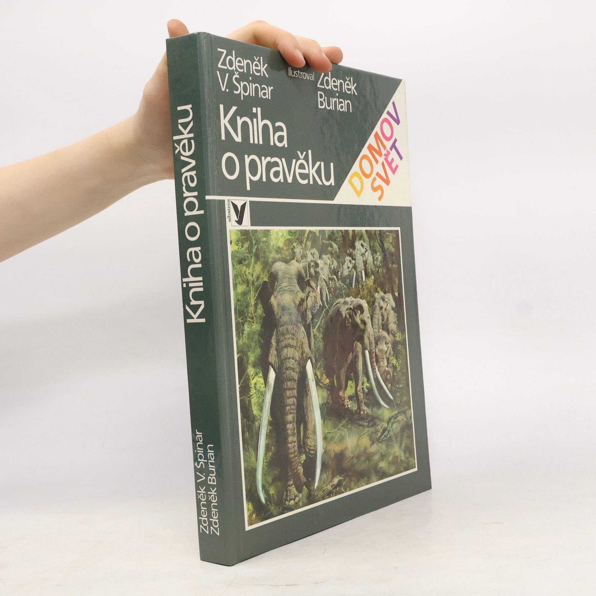 Kniha o pravěku
