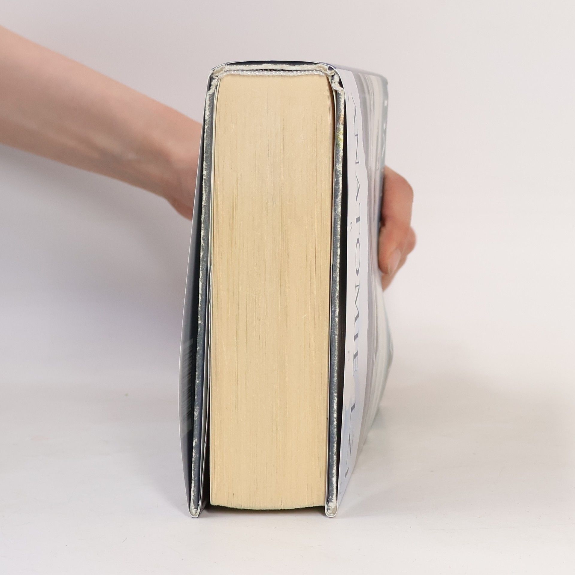 Dan Brown Anatomie lži