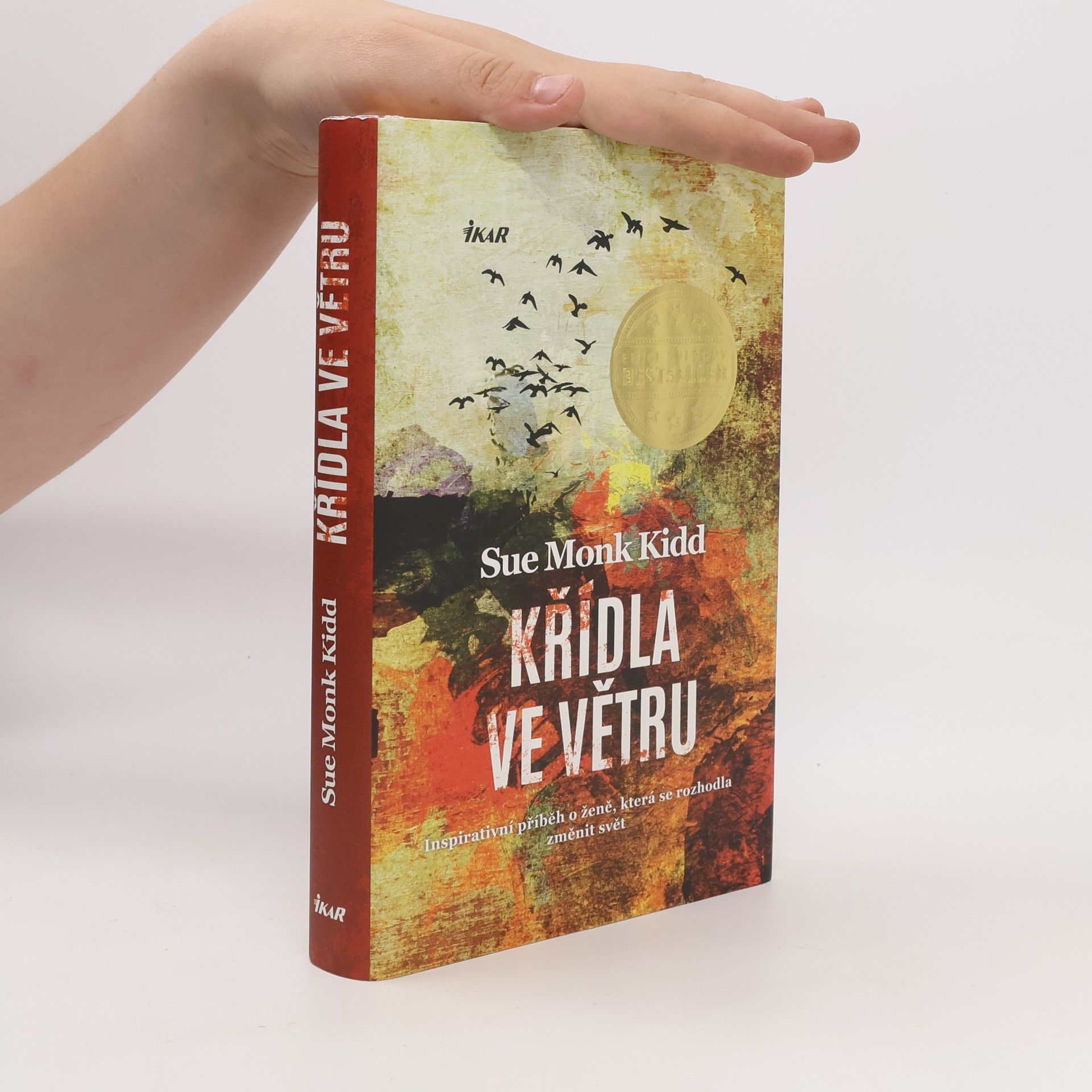 Sue Monk Kidd Křídla ve větru