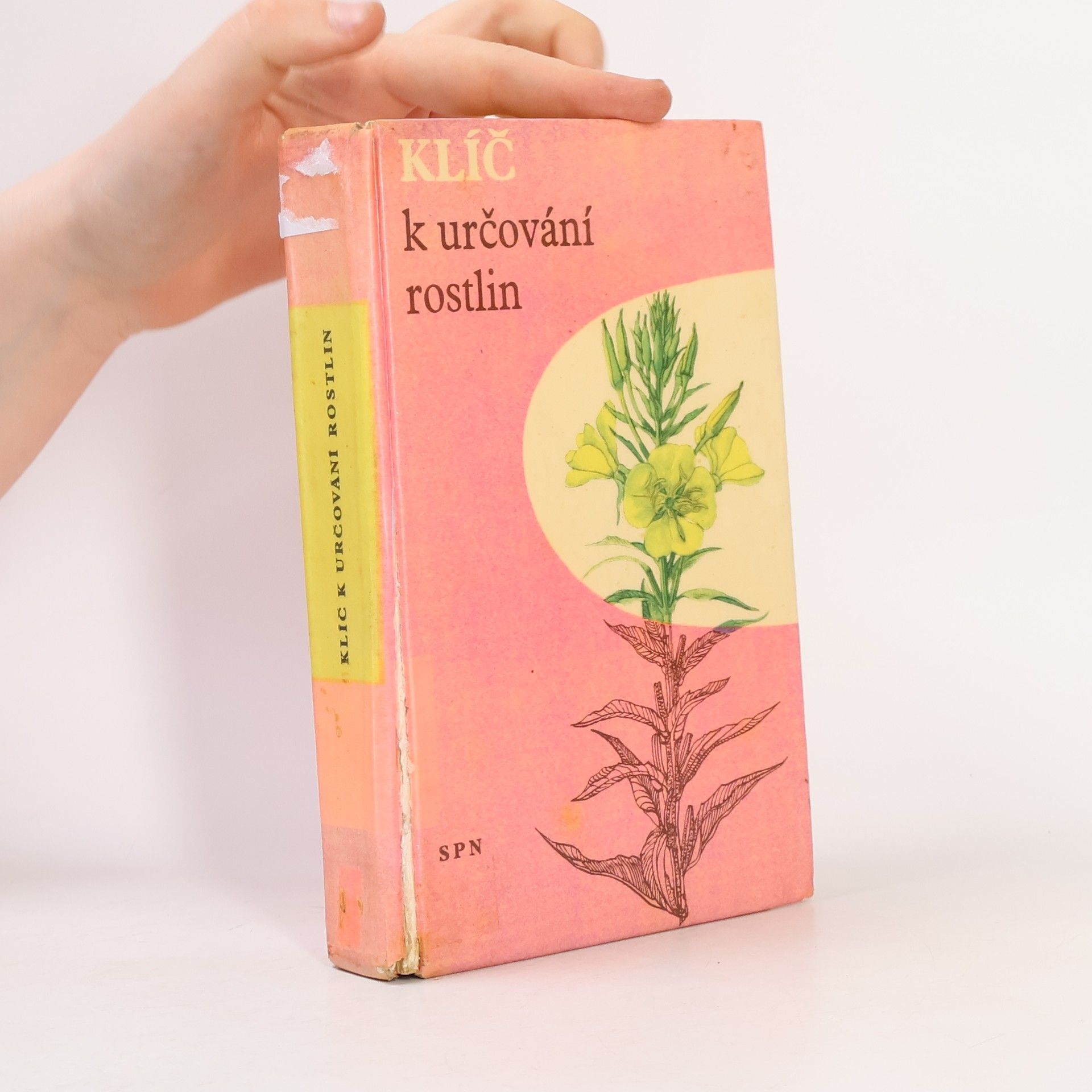 AA.VV. Klíč k určování rostlin