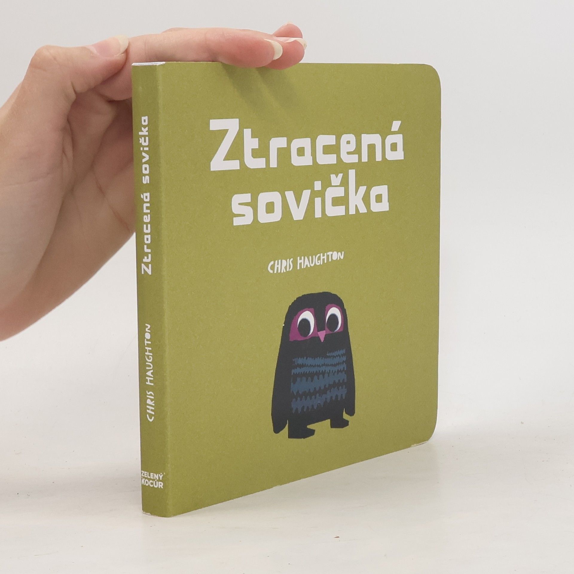 Chris Haughton Ztracená sovička