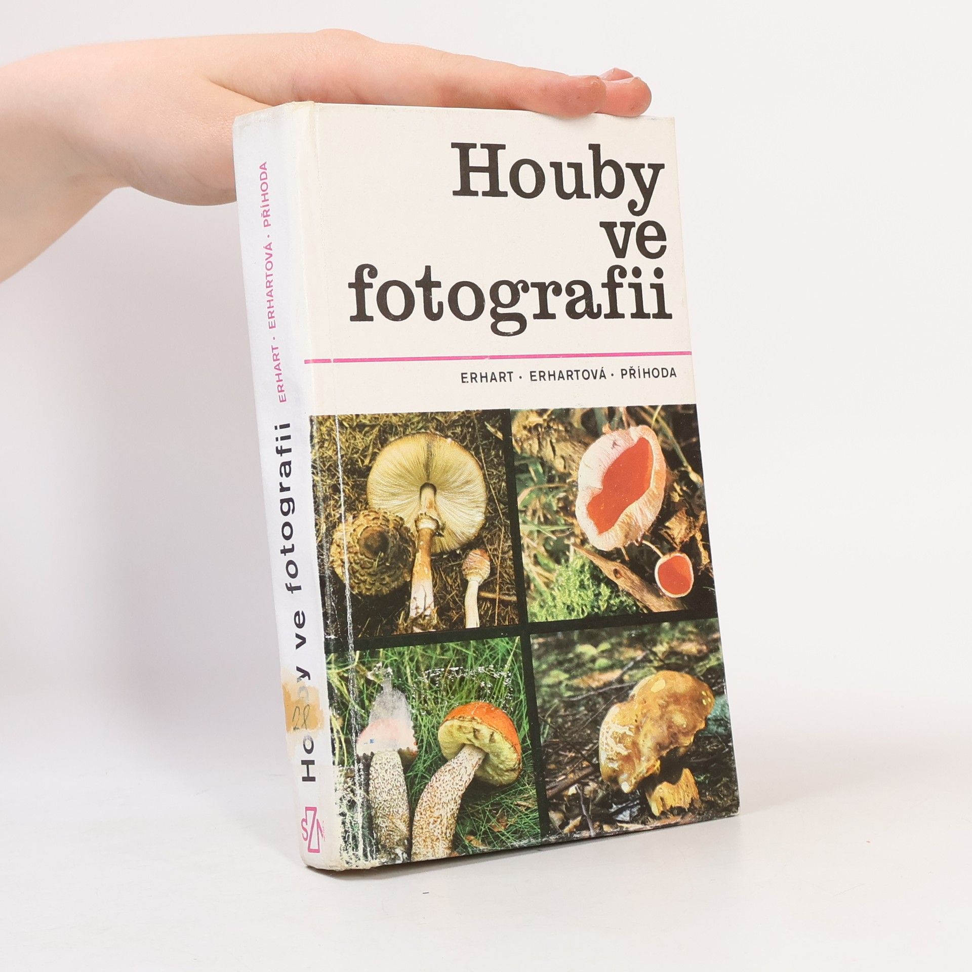 Houby ve fotografii