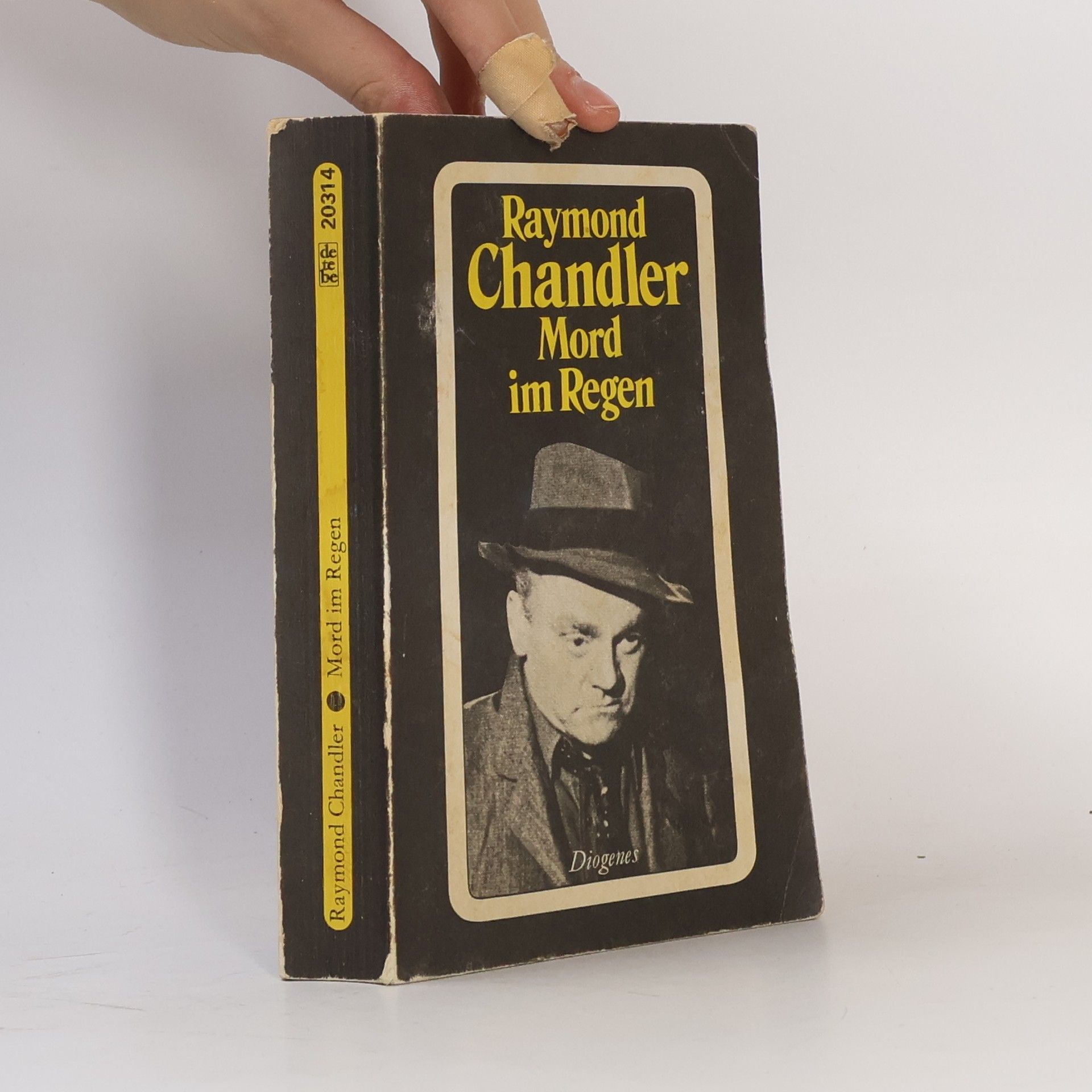 Raymond Chandler Mord im Regen