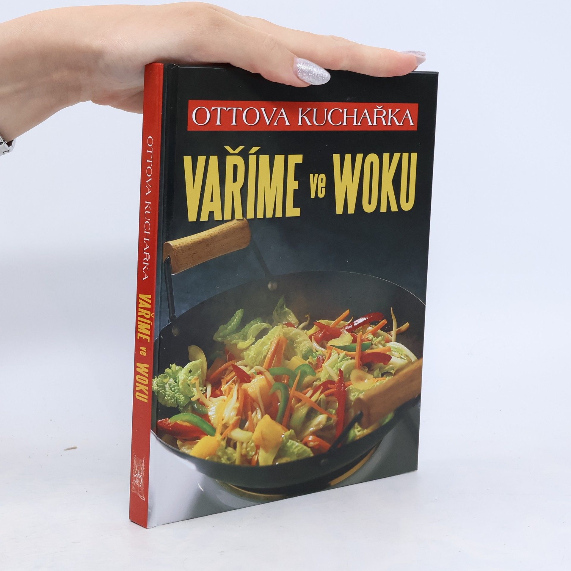 Autorenkollektiv Vaříme ve woku