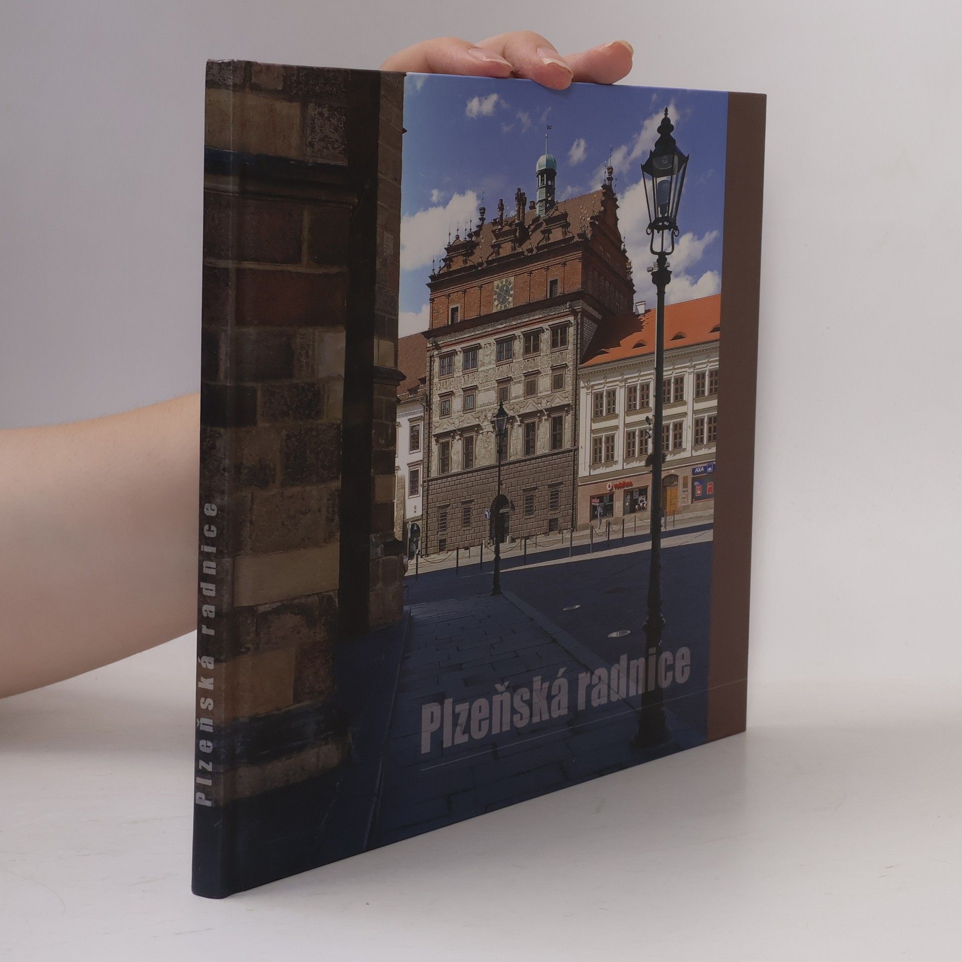Kolektív autorov Plzeňská radnice