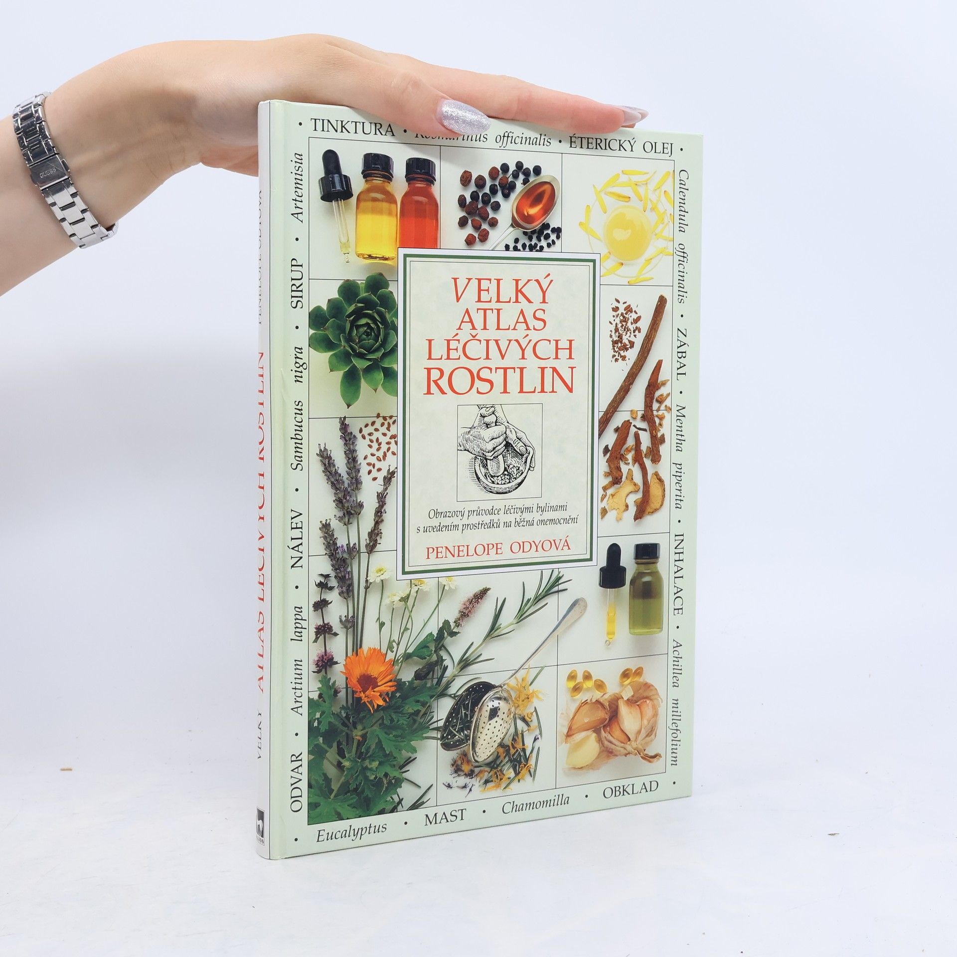 Penelope Ody Velký atlas léčivých rostlin