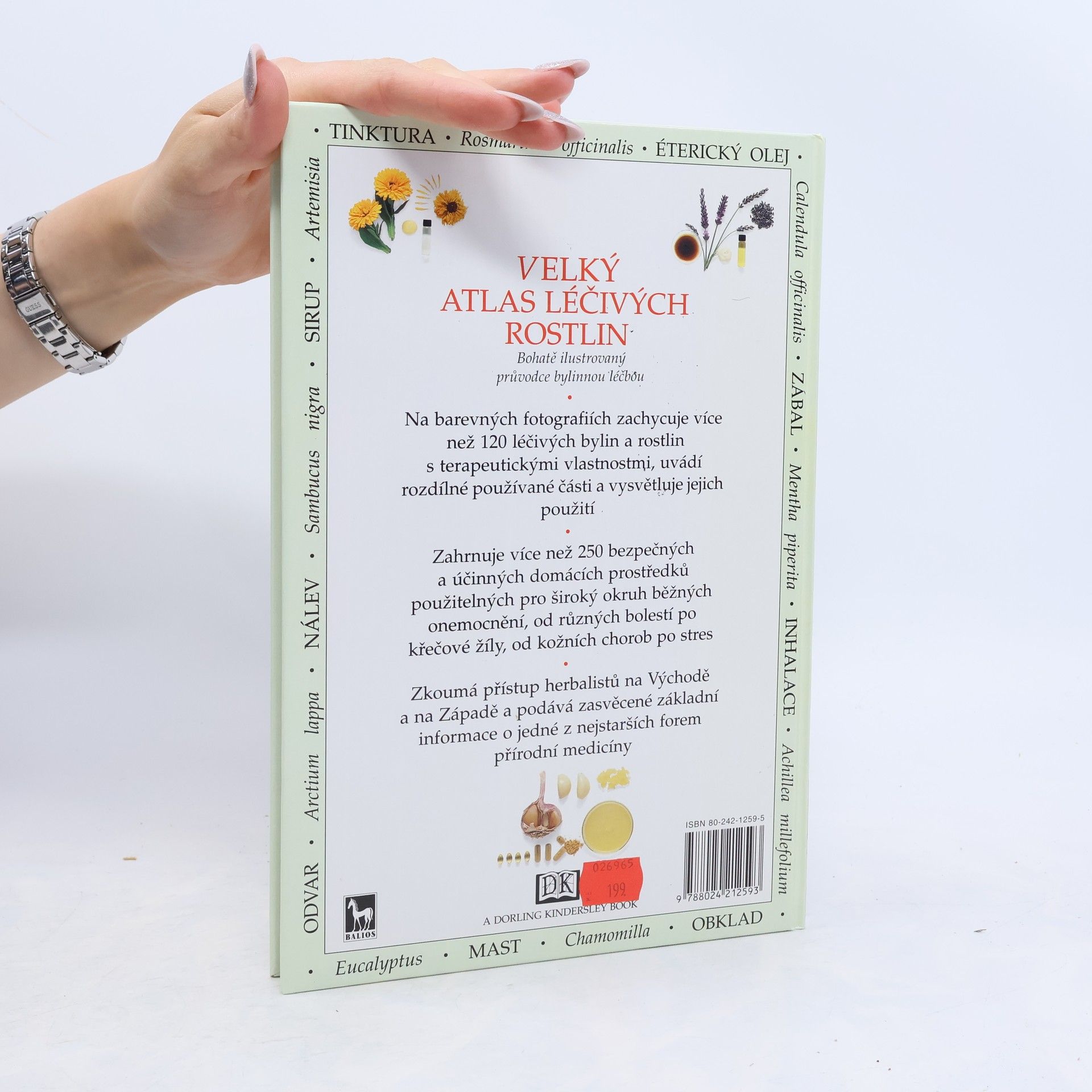 Penelope Ody Velký atlas léčivých rostlin