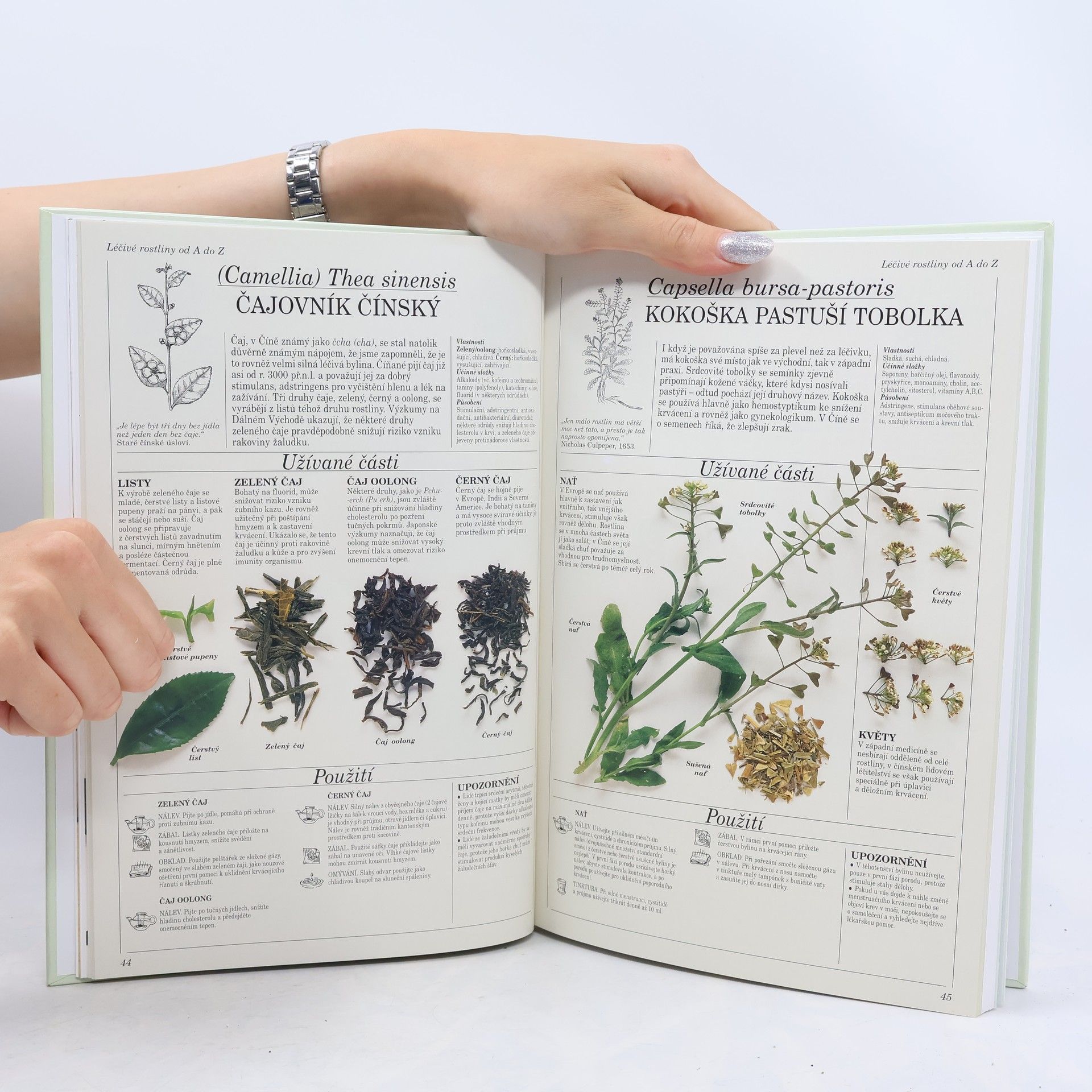 Penelope Ody Velký atlas léčivých rostlin