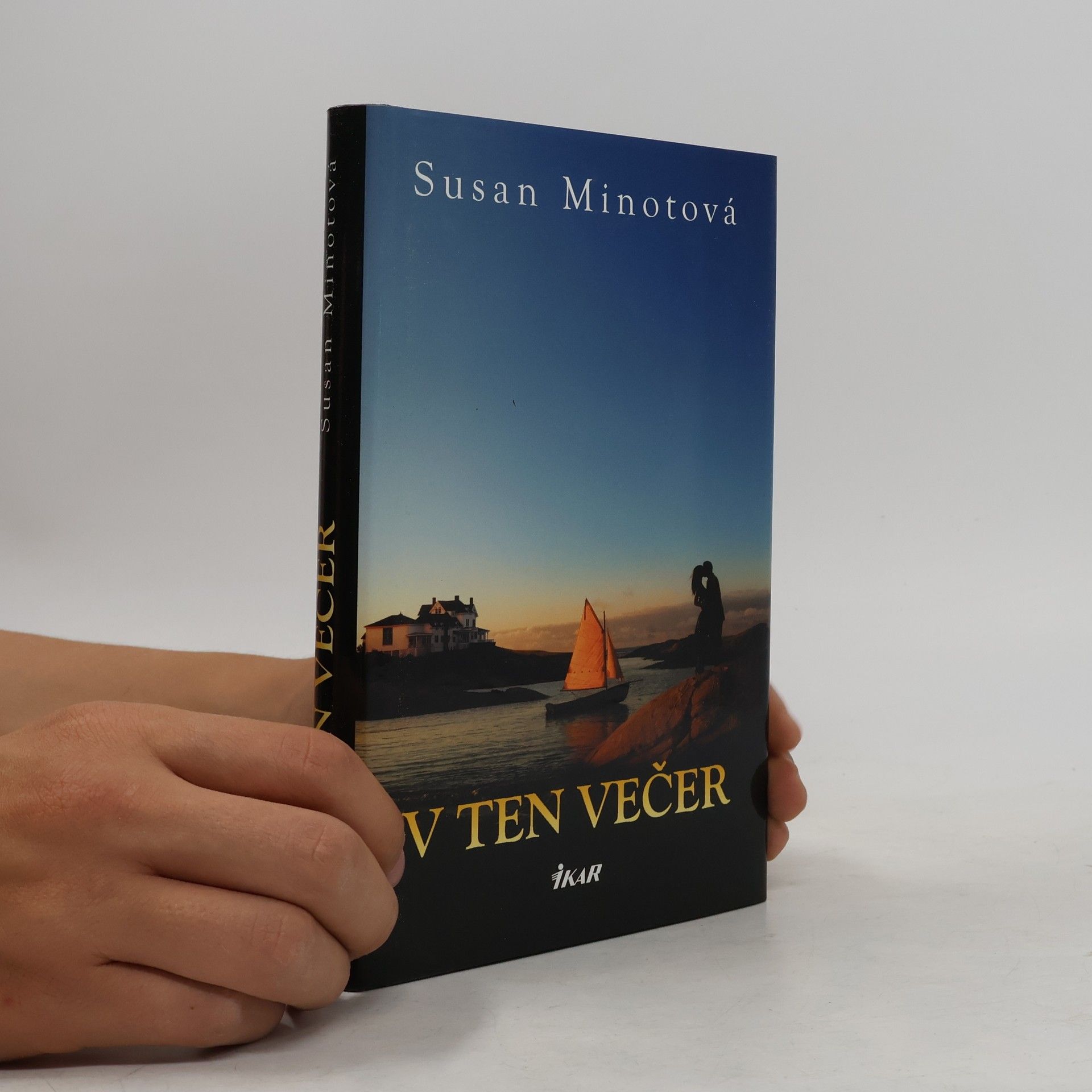Susan Minot V ten večer
