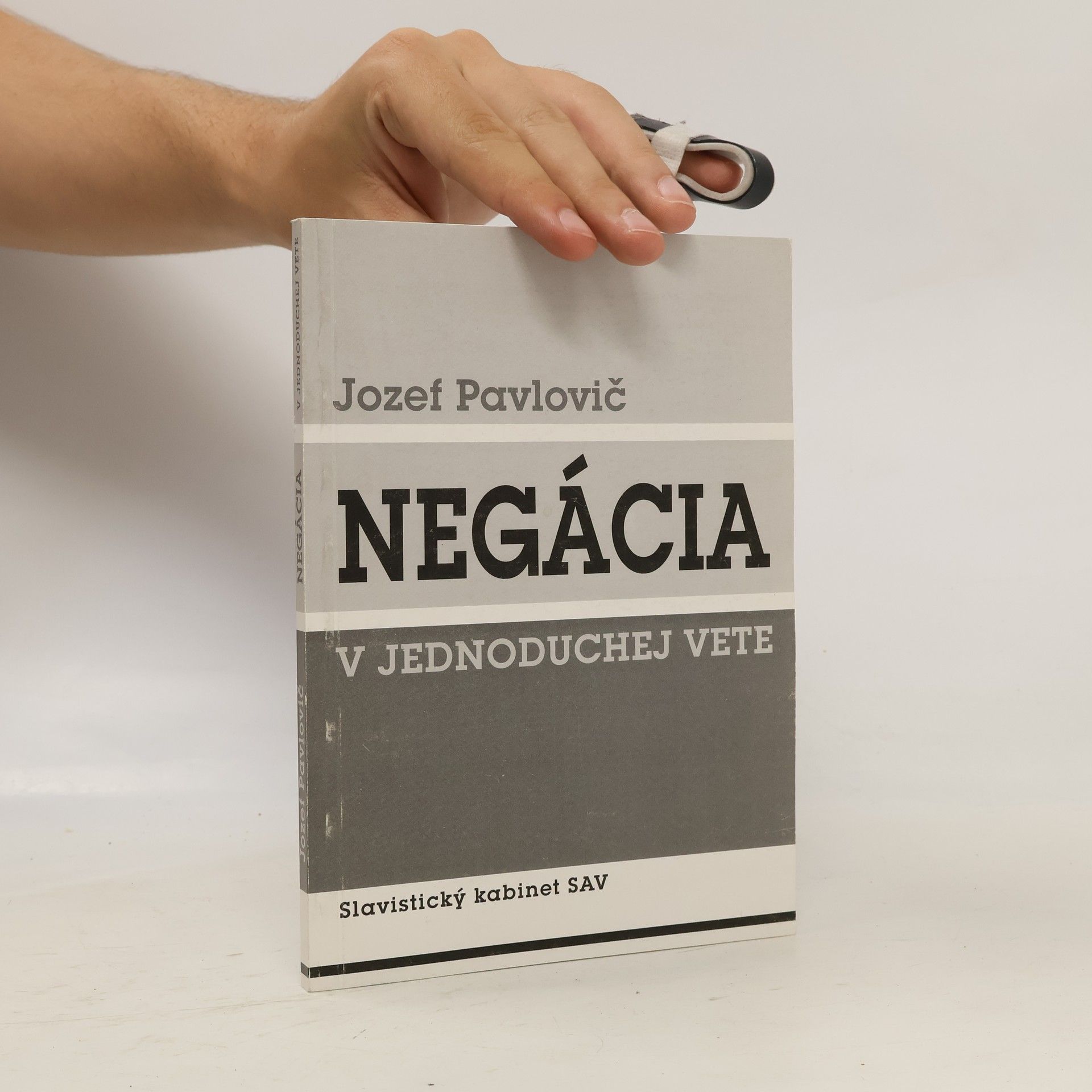 Jozef Pavlovič Negácia v jednoduchej vete