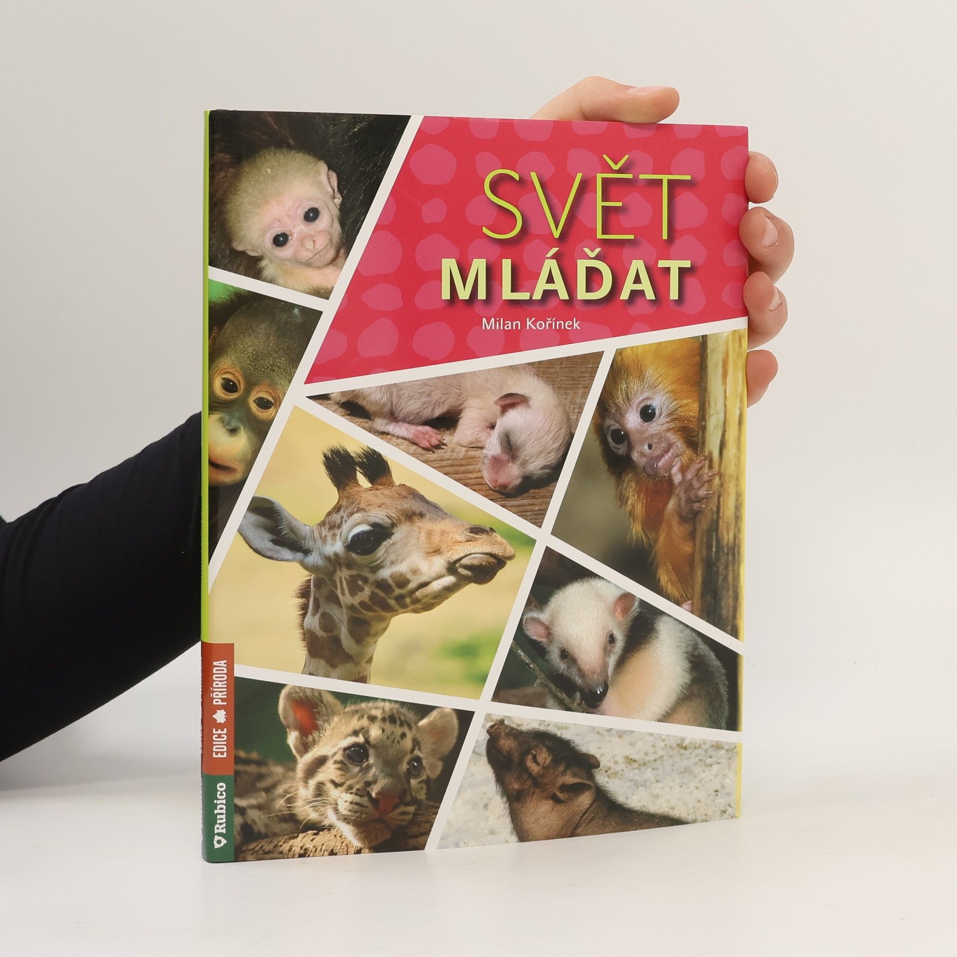 Milan Kořínek Svět mláďat