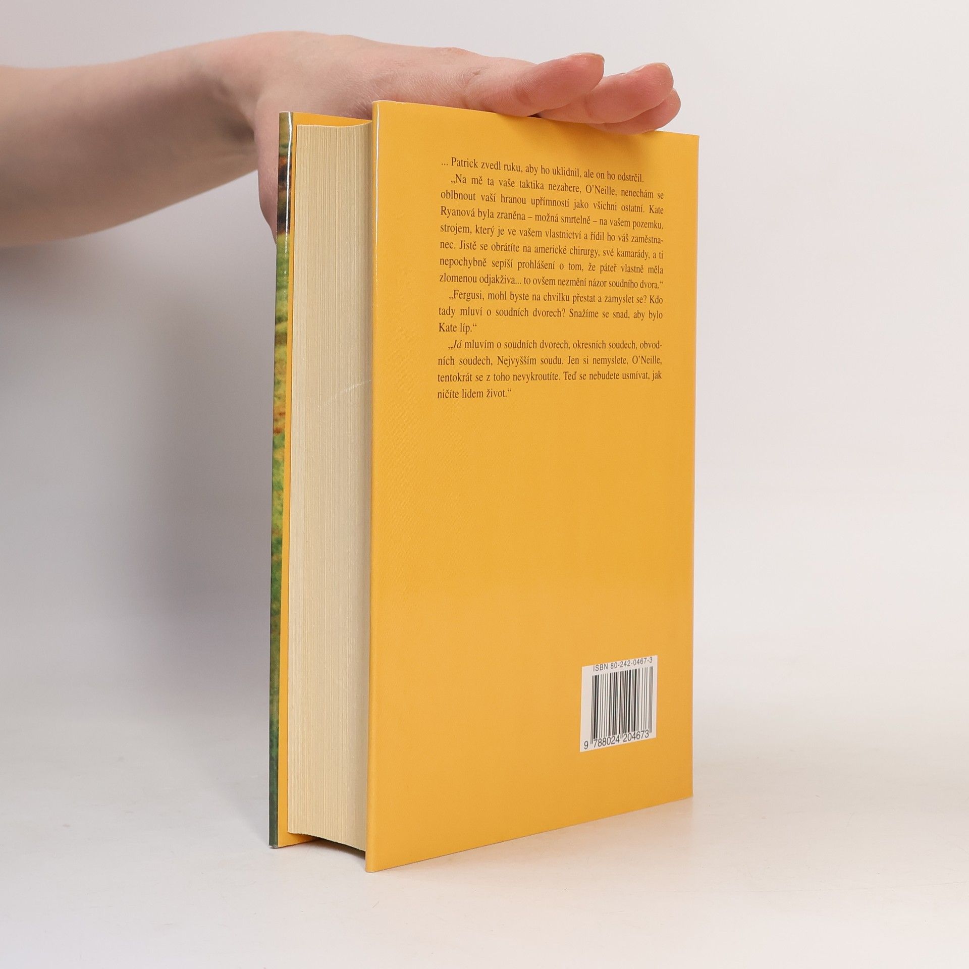 Maeve Binchy Nezapomenutelné léto