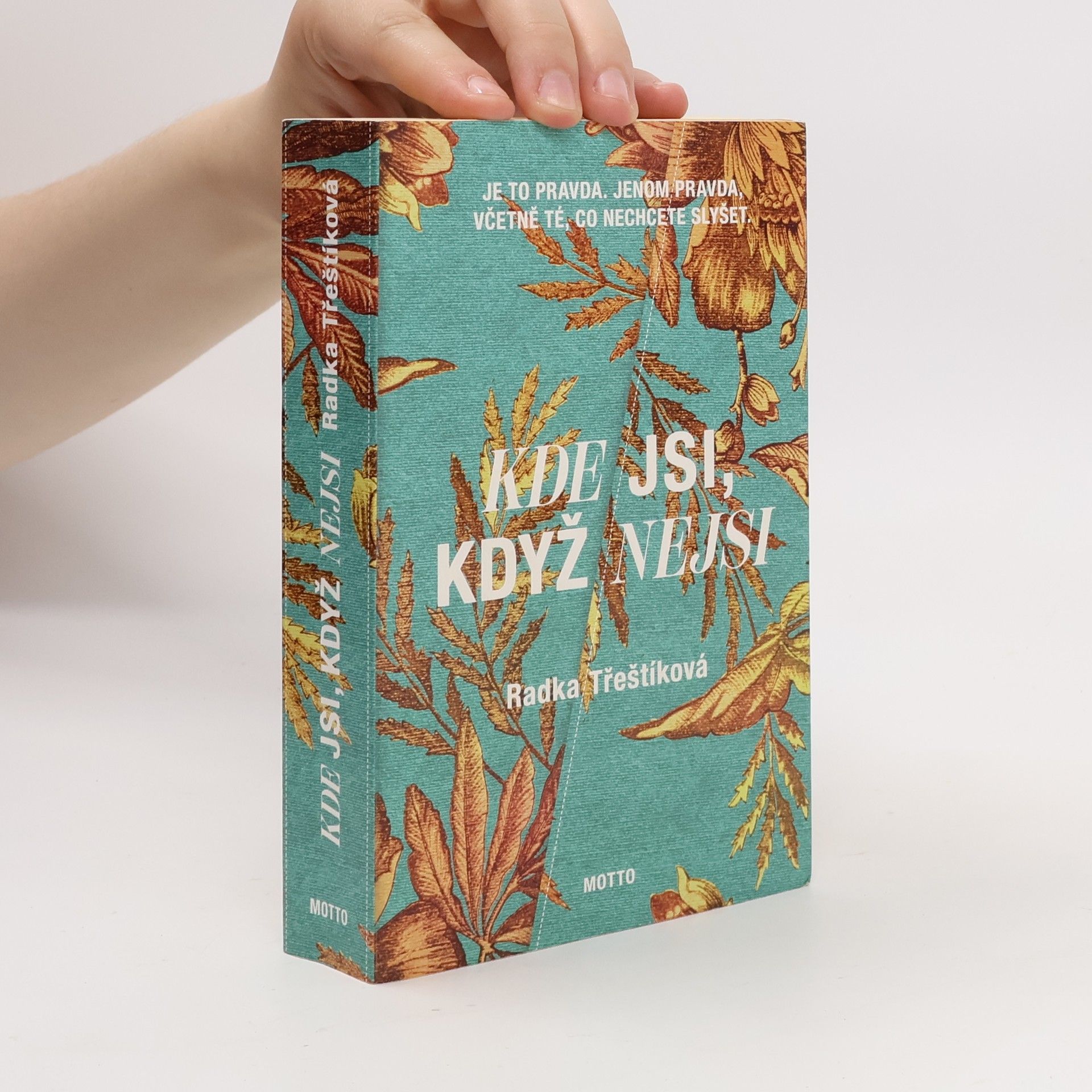 Radka Třeštíková Kde jsi, když nejsi