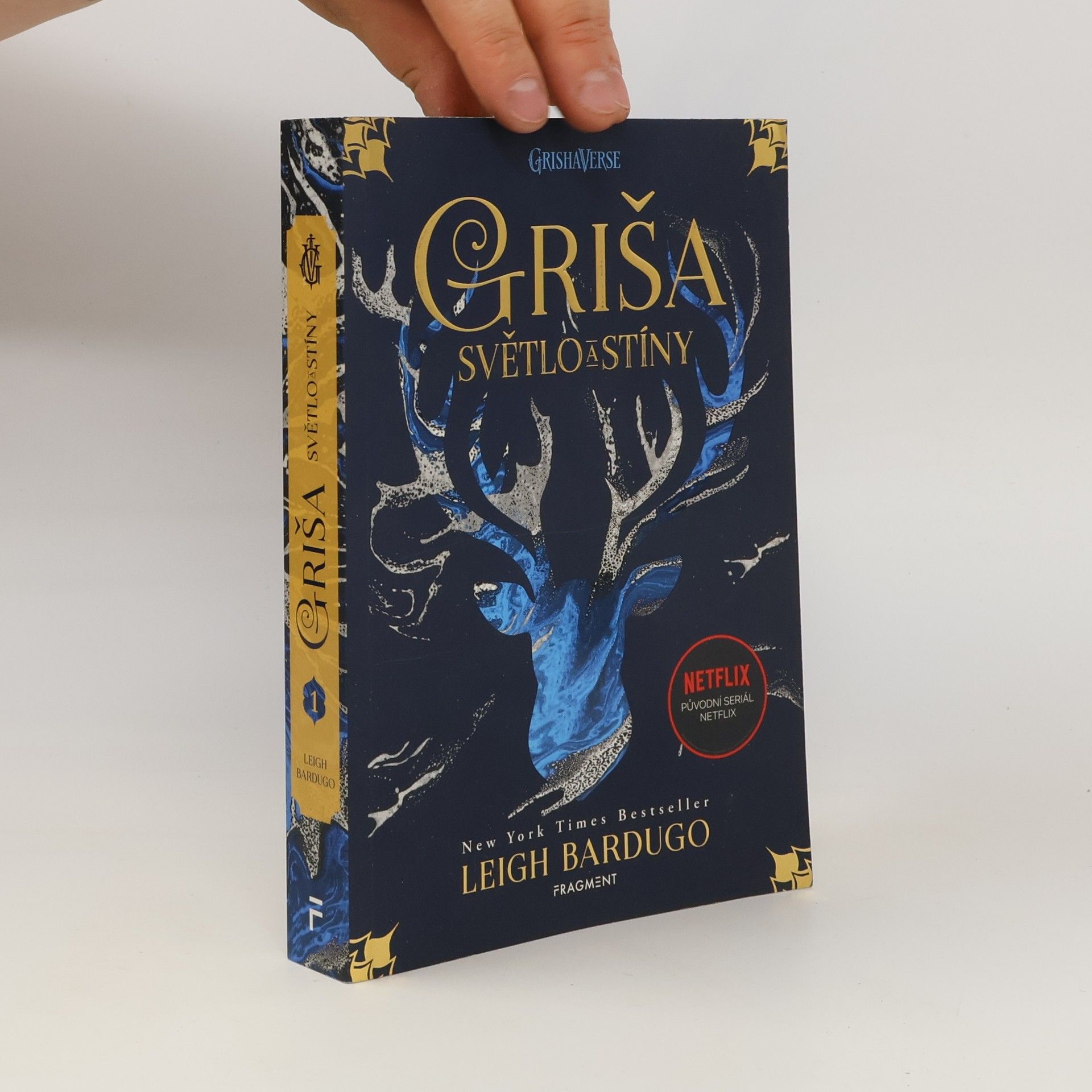 Leigh Bardugo Světlo a stíny