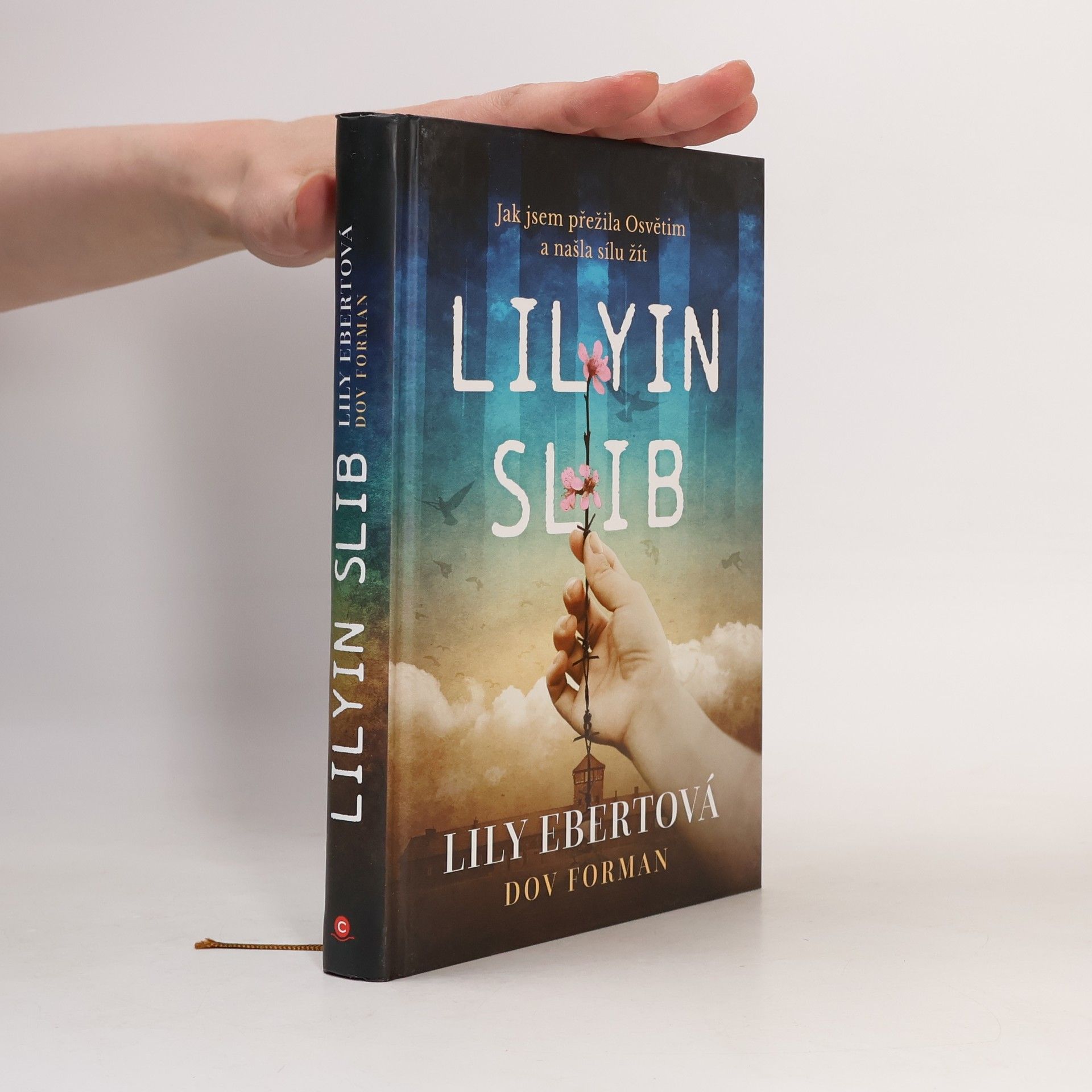 Lily Ebert Lilyin slib
