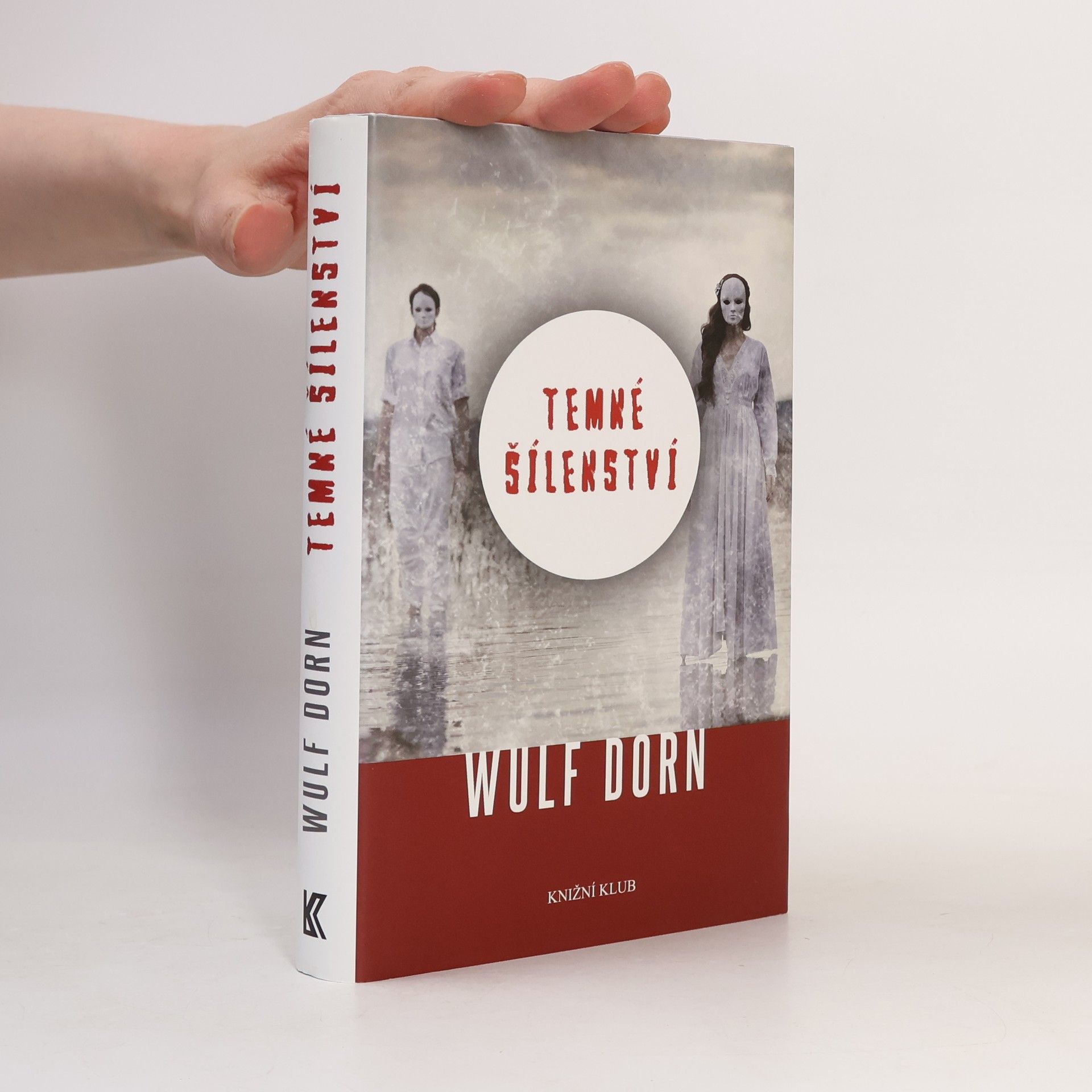 Wulf Dorn Temné šílenství