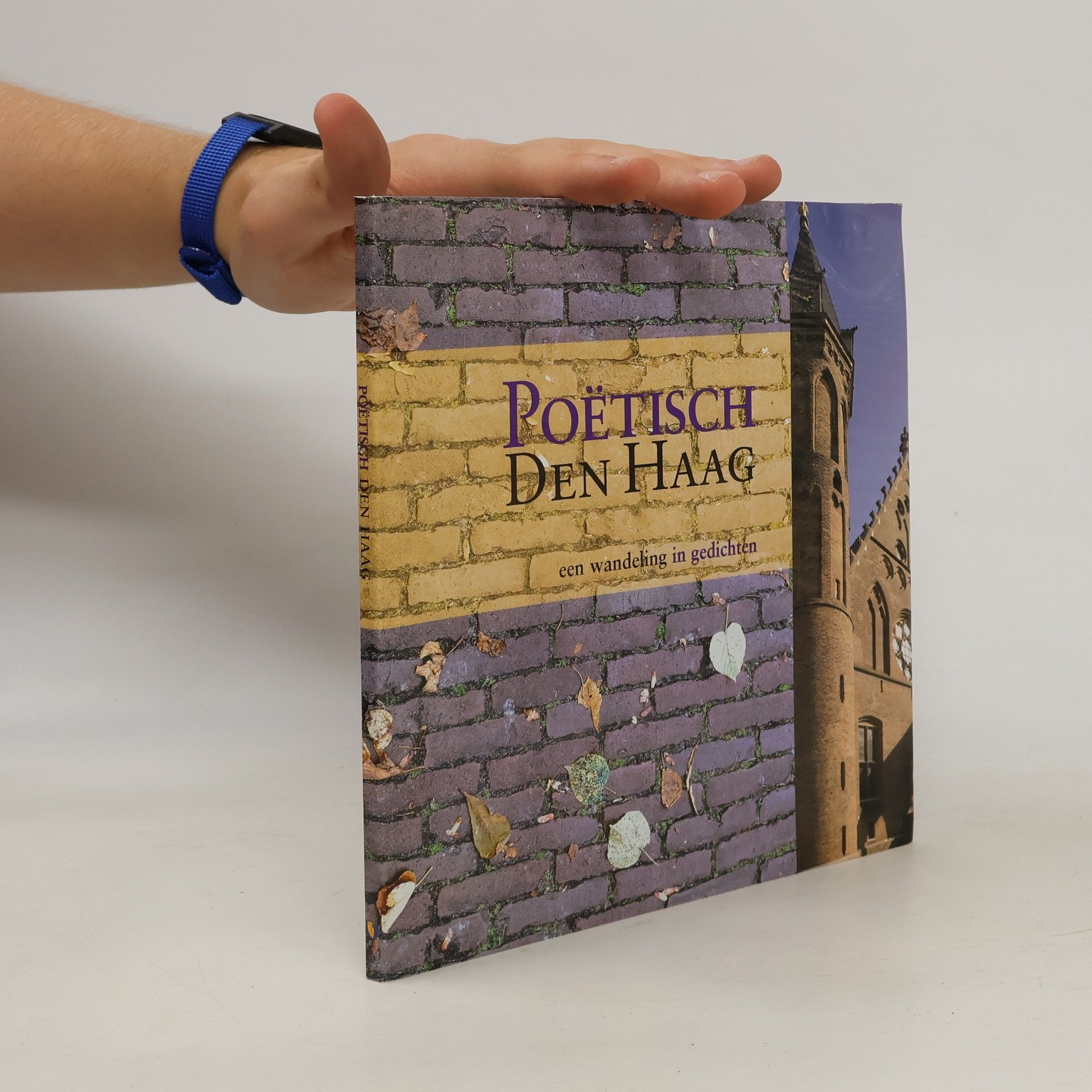 Collectif d'auteurs Poëtisch Den Haag